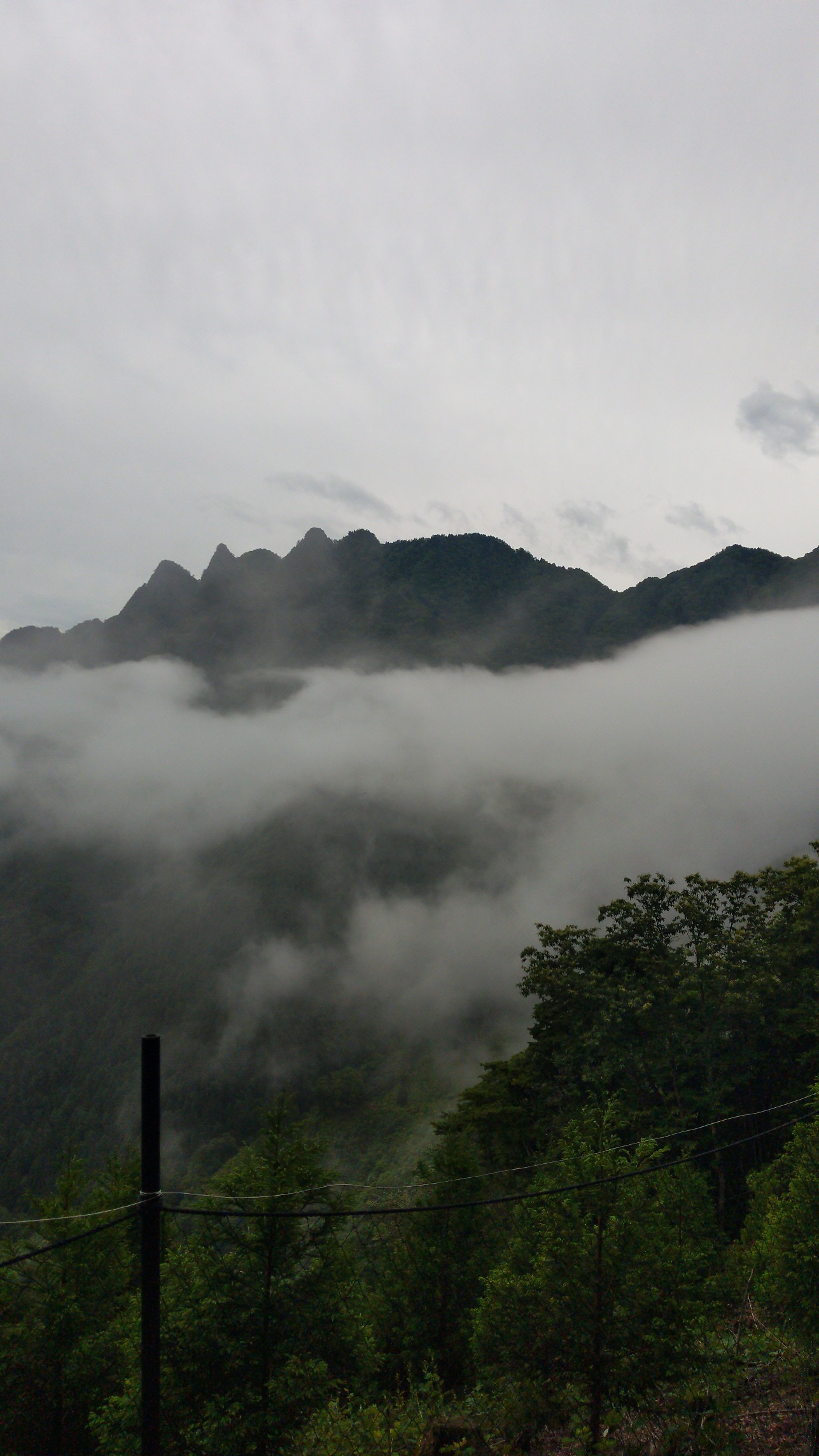 埼玉百名山 諏訪山経由両神山 敗退の巻 Kooさんの両神山 諏訪山 二子山の活動データ Yamap ヤマップ