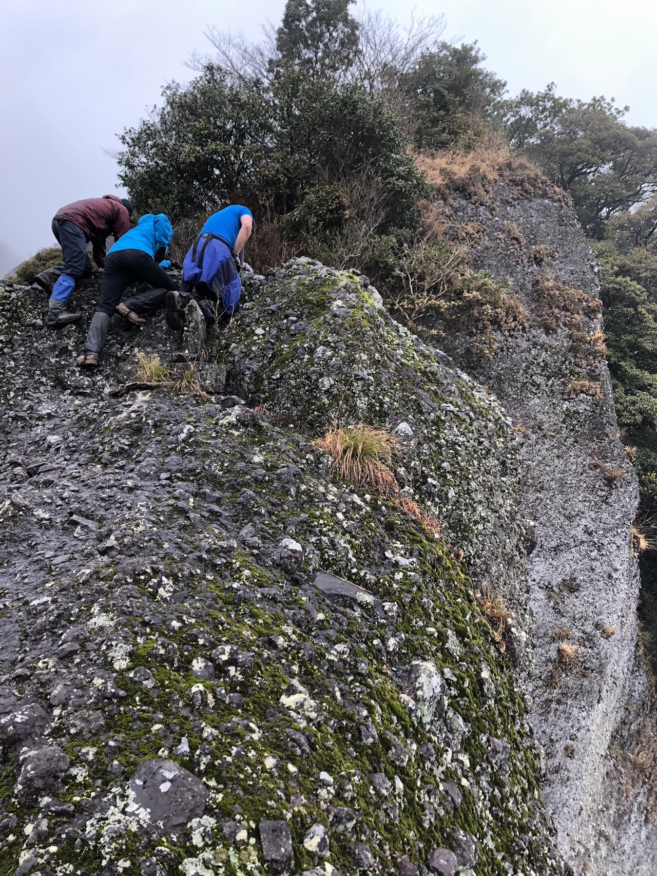 黒髪山 佐賀県 青螺山 雌岩 小雨のち曇り 02 09 ﾉﾘ さんの黒髪山 青螺山の活動データ Yamap ヤマップ