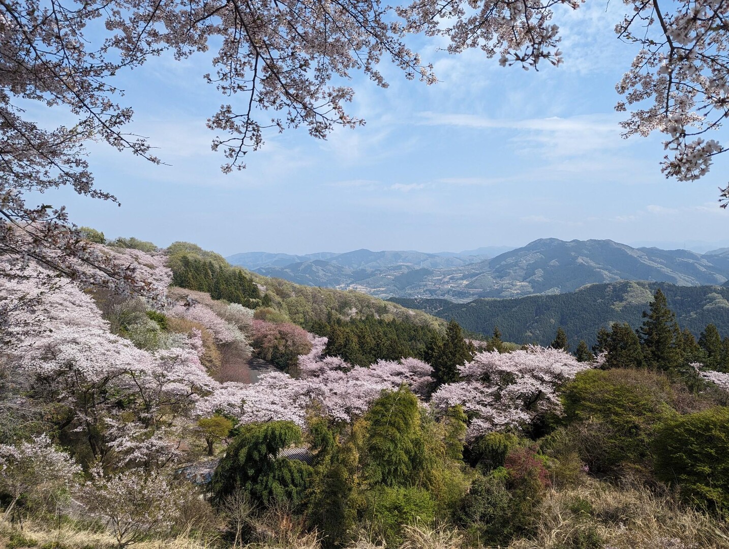 弁天山・桜山 / たまのよっさんさんの御荷鉾山・オドケ山・桐ノ城山の活動データ | YAMAP / ヤマップ