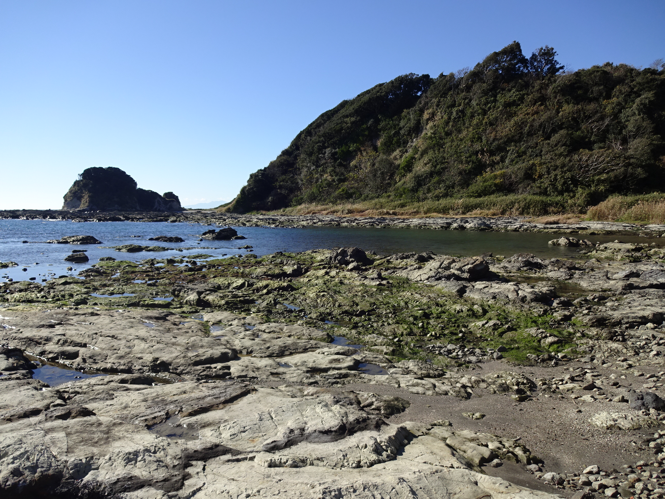 三崎海岸ウォーク 16 12 17 へ さんさんの三浦市の活動日記 Yamap ヤマップ