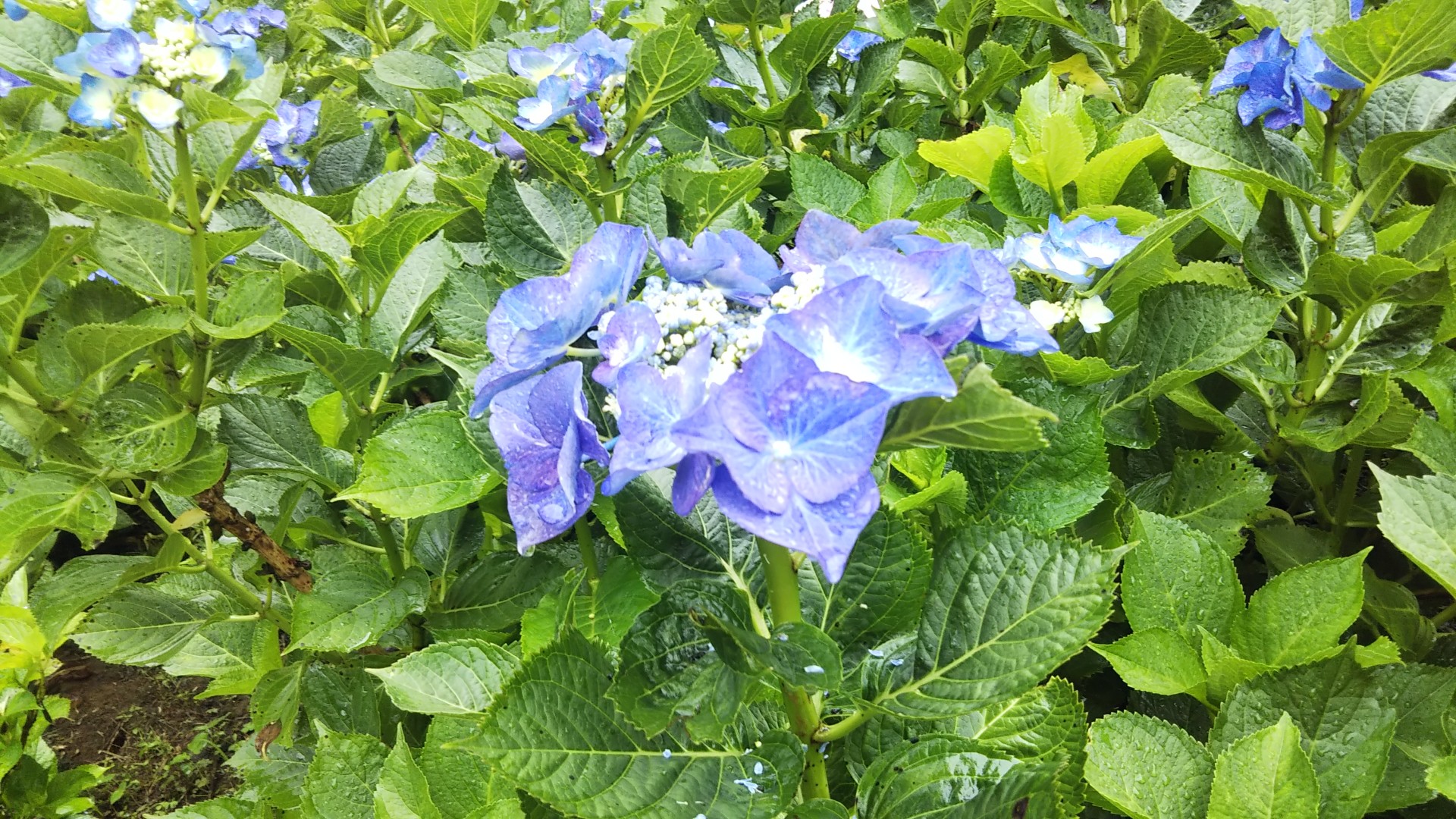 超人気新品 18金 K18 男女兼用 シンプル 甲丸リング 2.9ｇ 19～20号