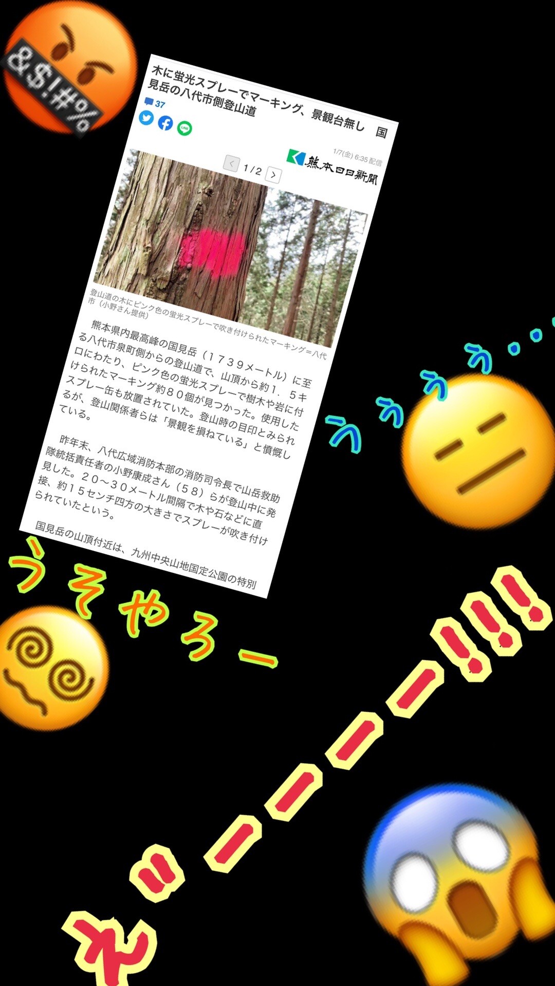 国見岳へ 登山道のマーキングの除去のお手伝い Zicoさんの国見岳 烏帽子岳の活動データ Yamap ヤマップ