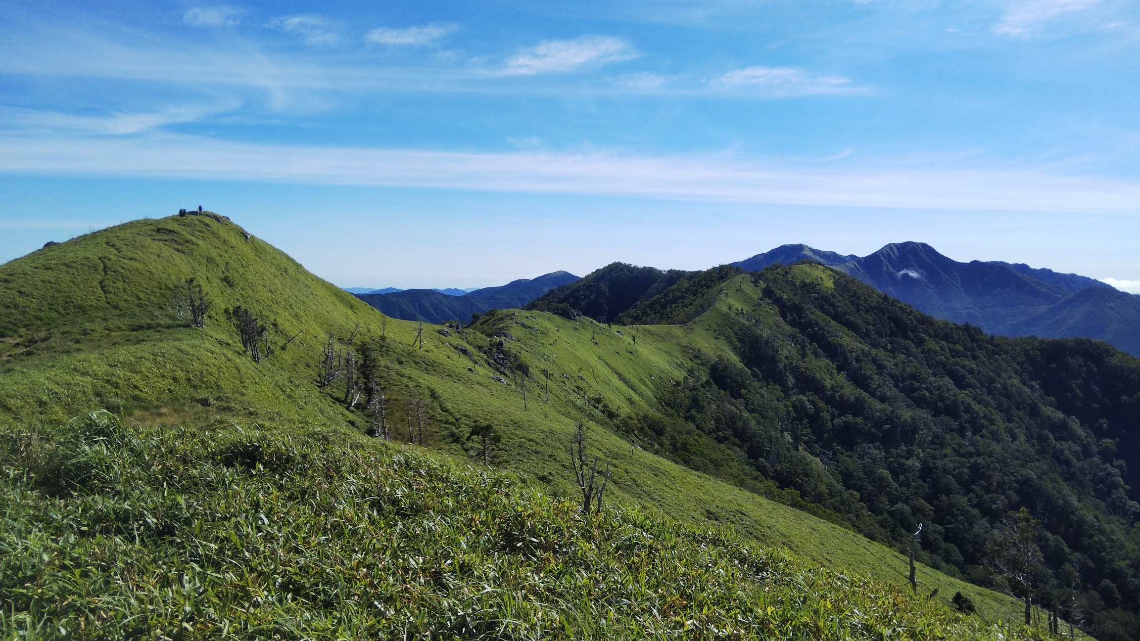 四国山地 三嶺 笹野原の縦走 高ノ瀬 平和丸 白髪山 カヤハゲ 東熊山 名頃登山口起点周回ルート Shimoさんの三嶺 天狗塚 石立山の活動データ Yamap ヤマップ