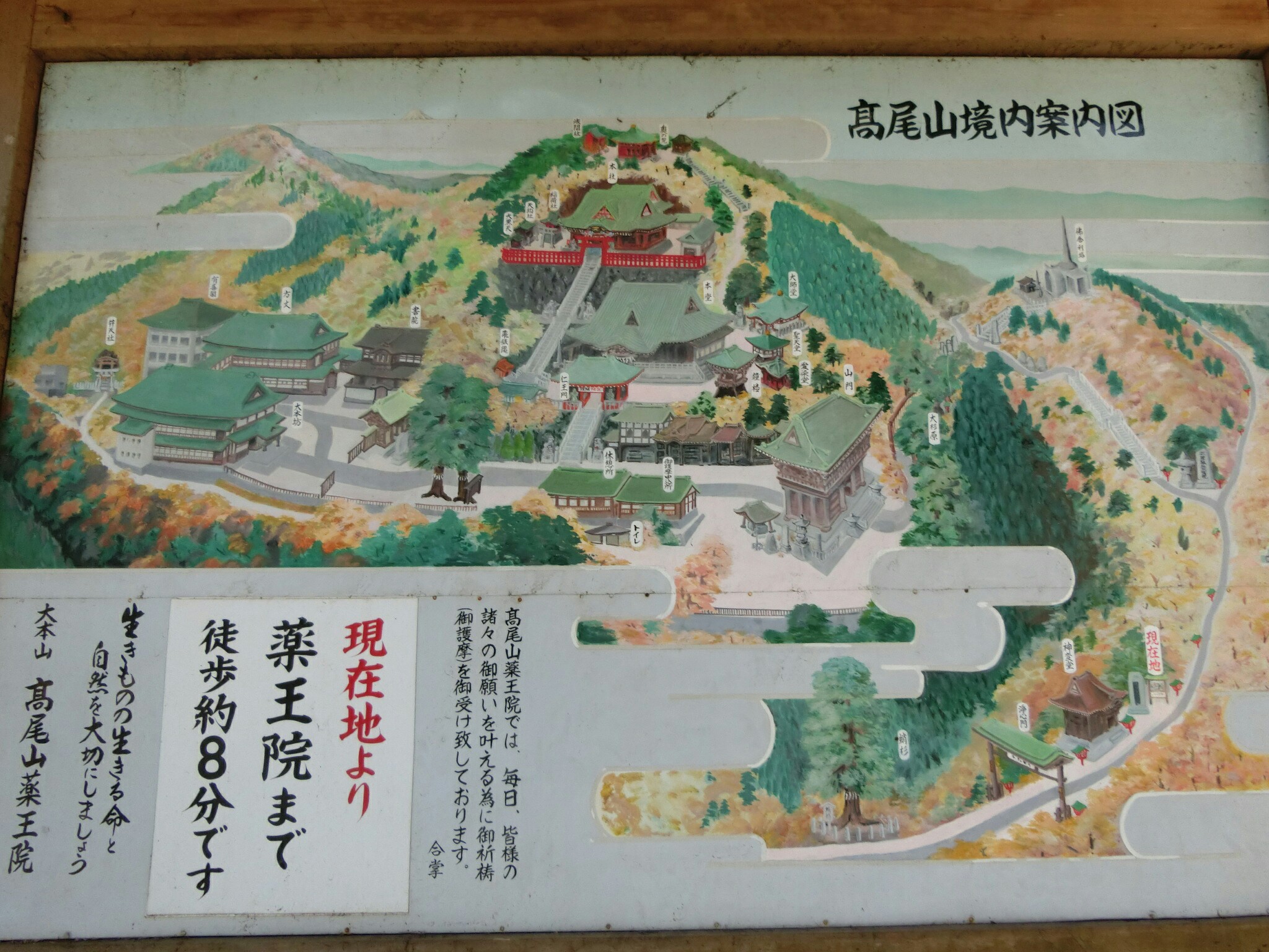 高尾山 バスドラヨッシーさんの高尾山 陣馬山 景信山の活動日記 Yamap ヤマップ