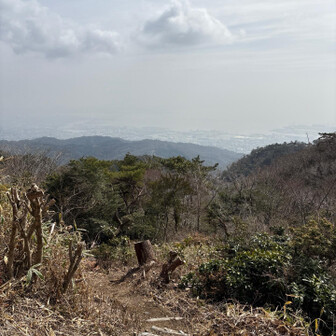 六甲山・長峰山・摩耶山 登ってきた道筋
よくここまで来れたな