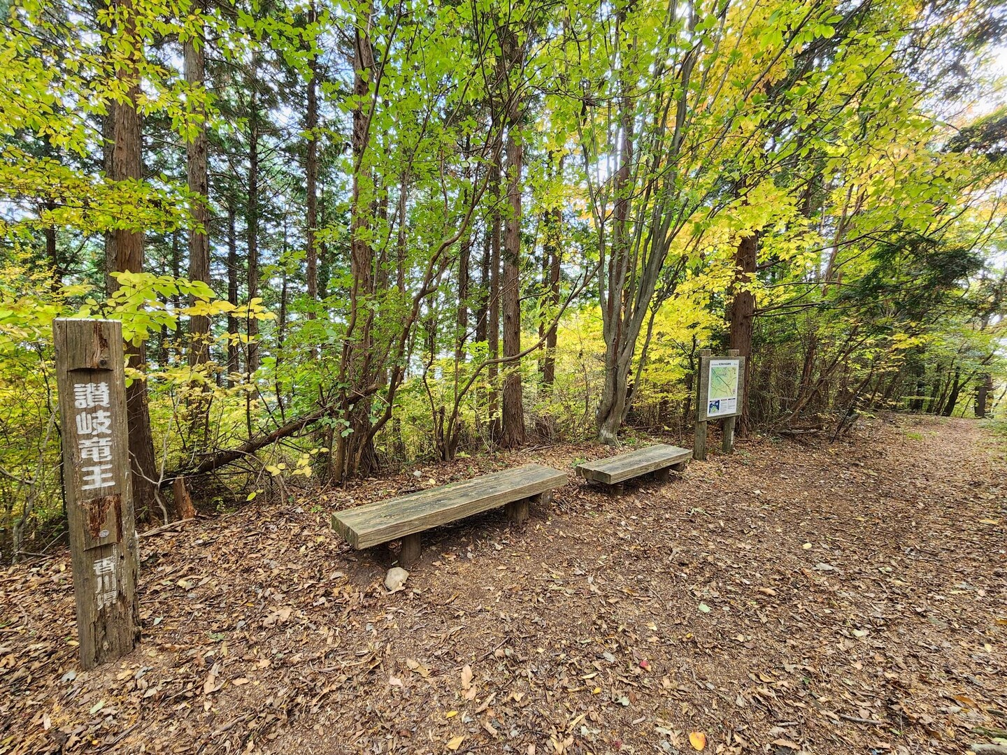 竜王山（讃岐竜王）・竜王山（阿波竜王） / じゅんさんの竜王山（讃岐山脈）・大川山の活動データ YAMAP / ヤマップ