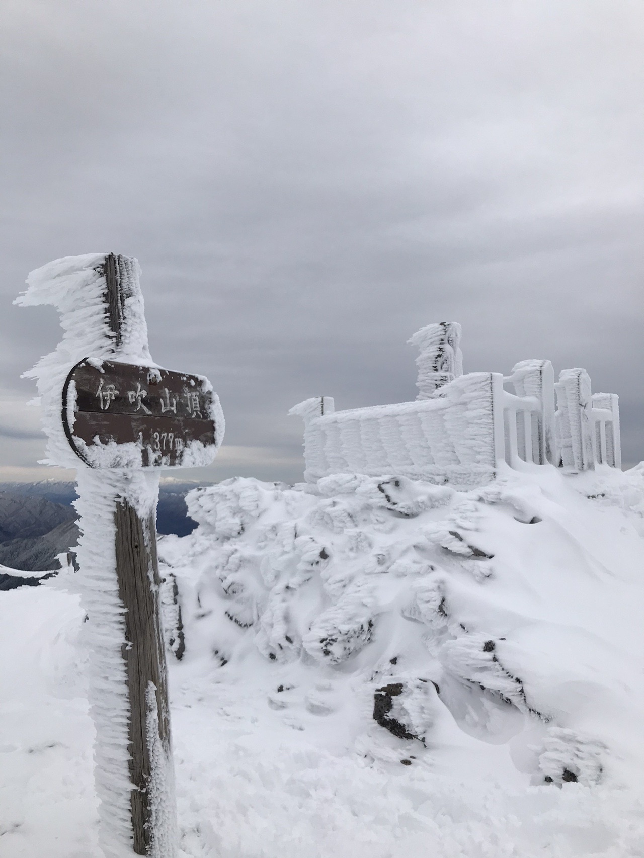 伊吹山1377m 滋賀県長浜市 5回目 パル子さんの伊吹山 伊吹高原 御座峰の活動データ Yamap ヤマップ