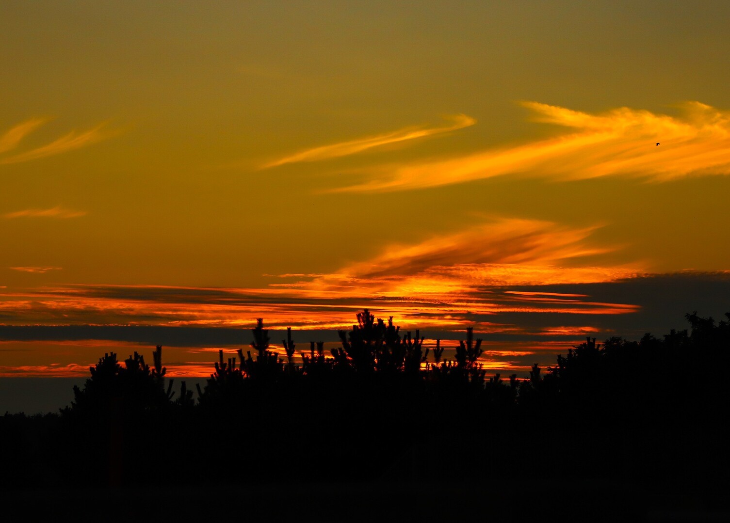 秋田 山形 美人のちょ かーいー 超可愛い 山に惚れた話 鳥海山19 08 07 く なさんの鳥海山 七高山 笙ヶ岳の活動日記 Yamap ヤマップ