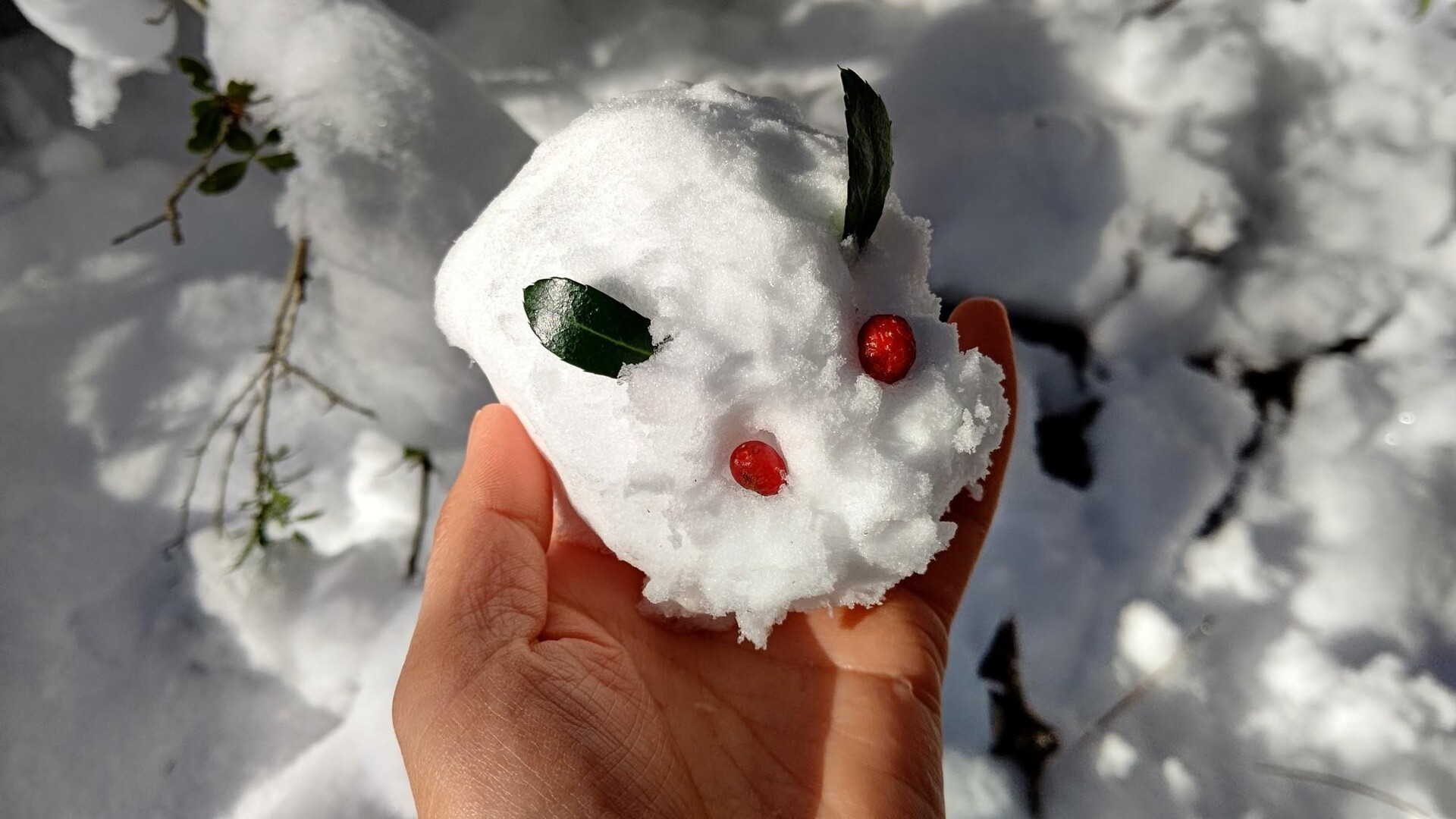 萬歳楽山 / まめさんの半田山・萬歳楽山の活動データ YAMAP / ヤマップ