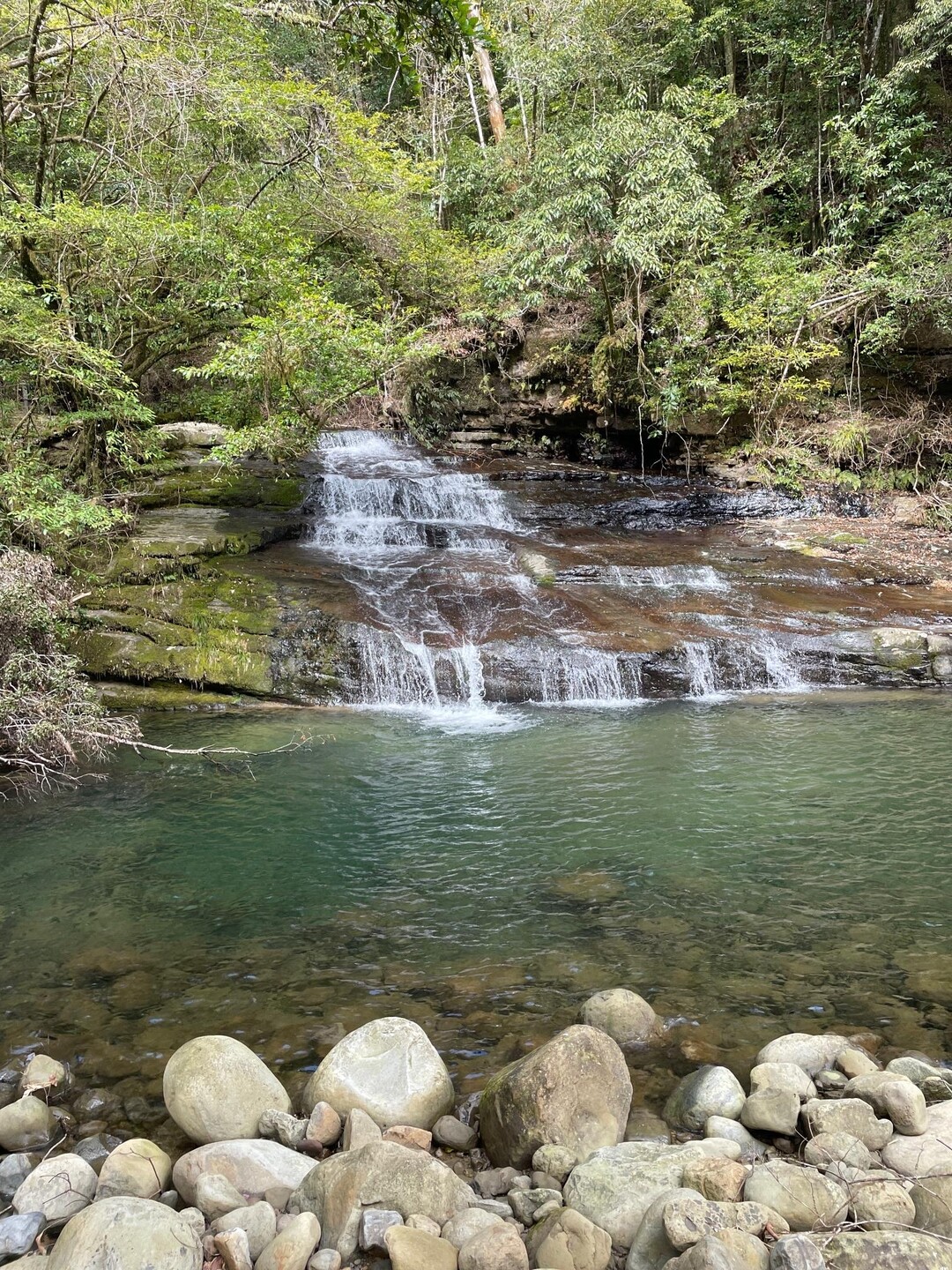 日南市 猪八重渓谷 / つとんさんのハイキングの活動データ YAMAP / ヤマップ