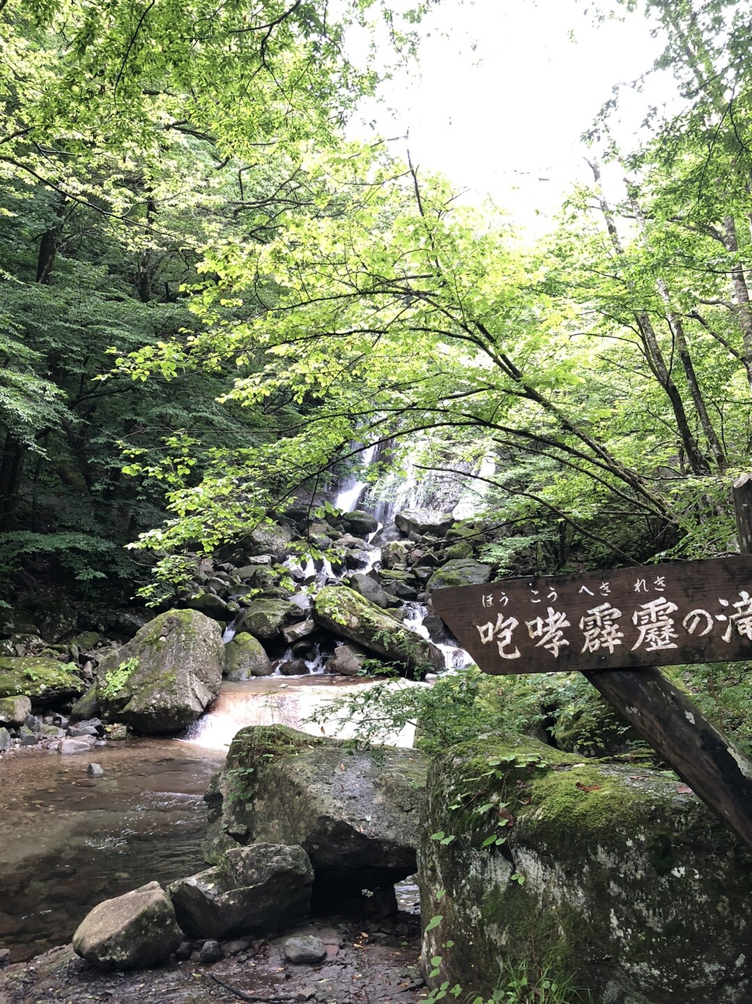 咆哮霹靂 雷霆の滝 08 02 R L Rさんの高原山 釈迦ヶ岳 鶏頂山の活動日記 Yamap ヤマップ