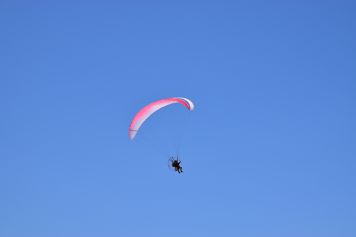 行っちゃいました。
いいな～。