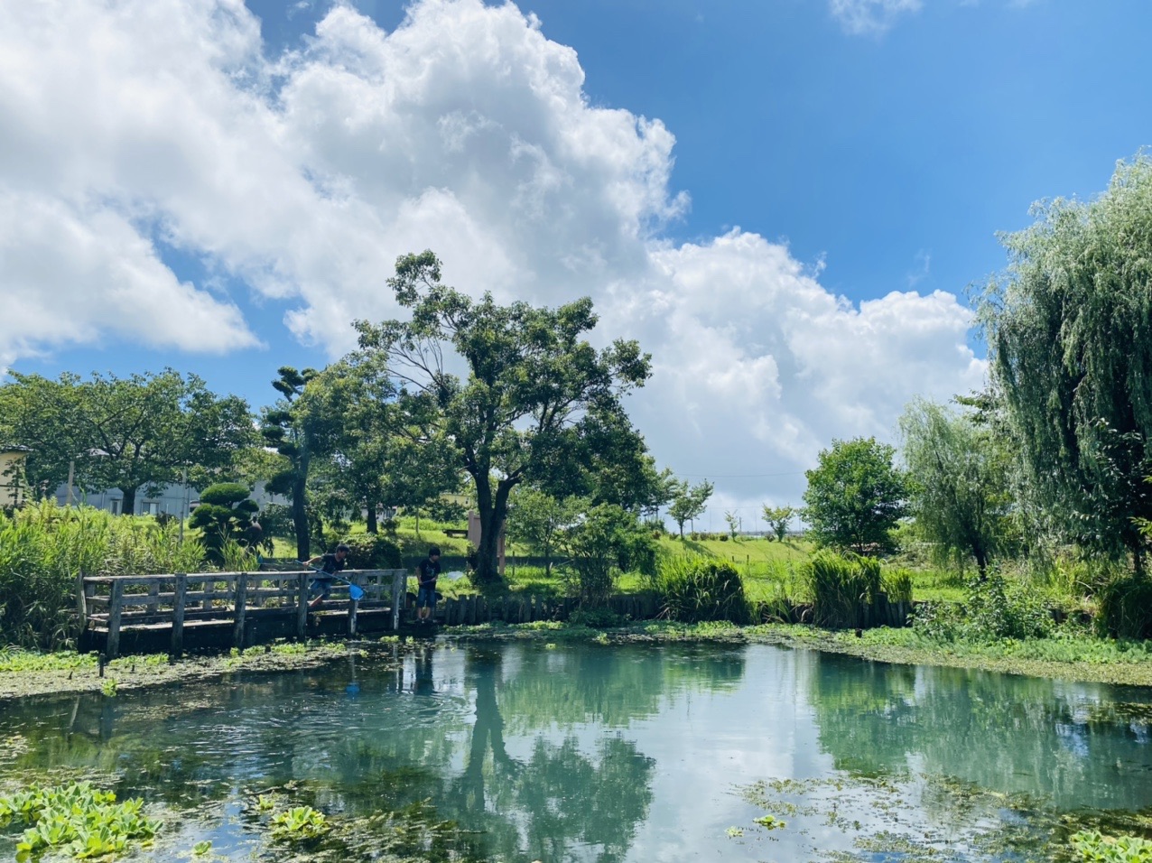ひょうたん池 / 遠藤健正（元リュウケン）さんのウォーキングの