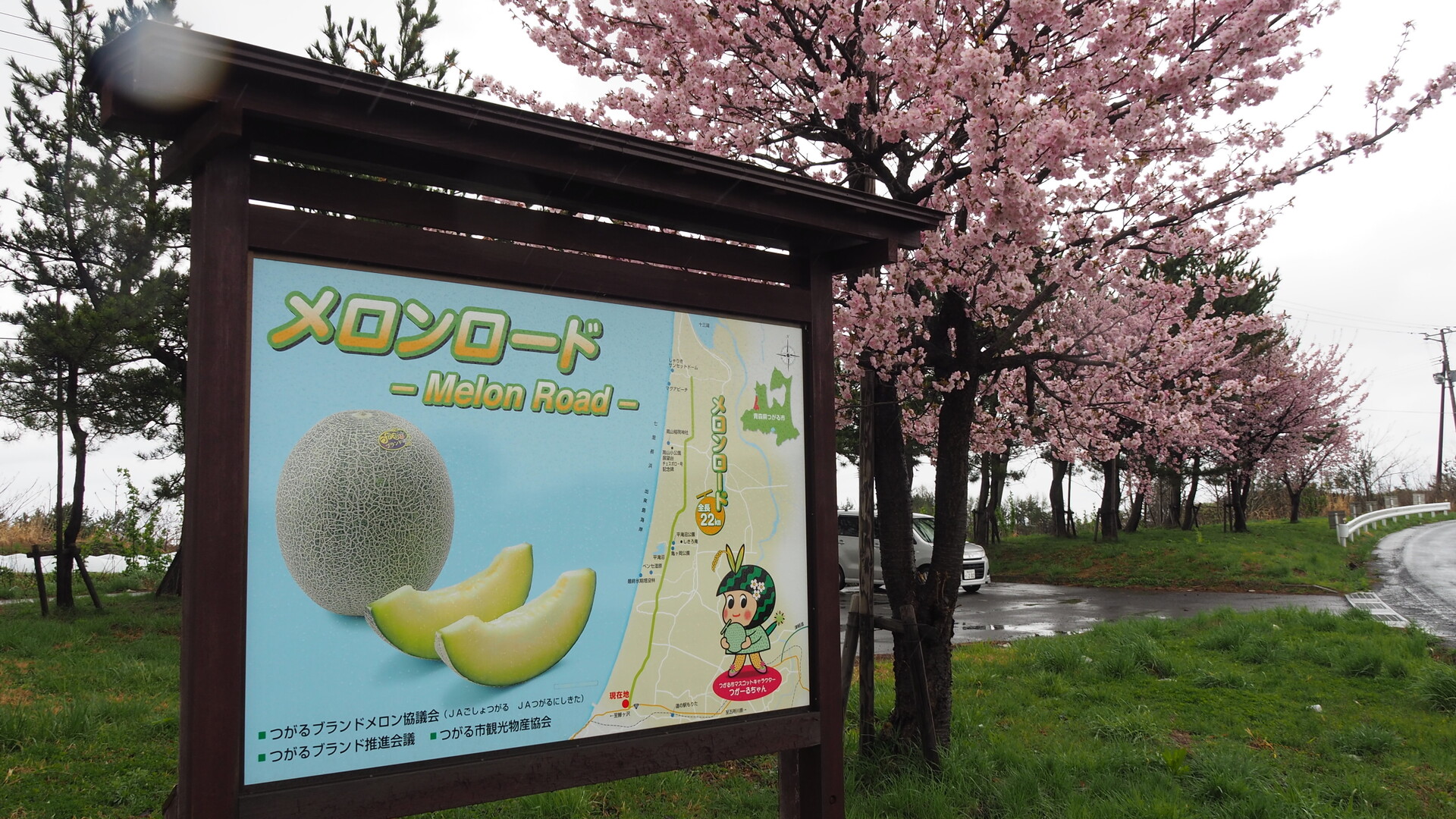 天皇山 ヤマセミさんの五所川原市の活動データ Yamap ヤマップ