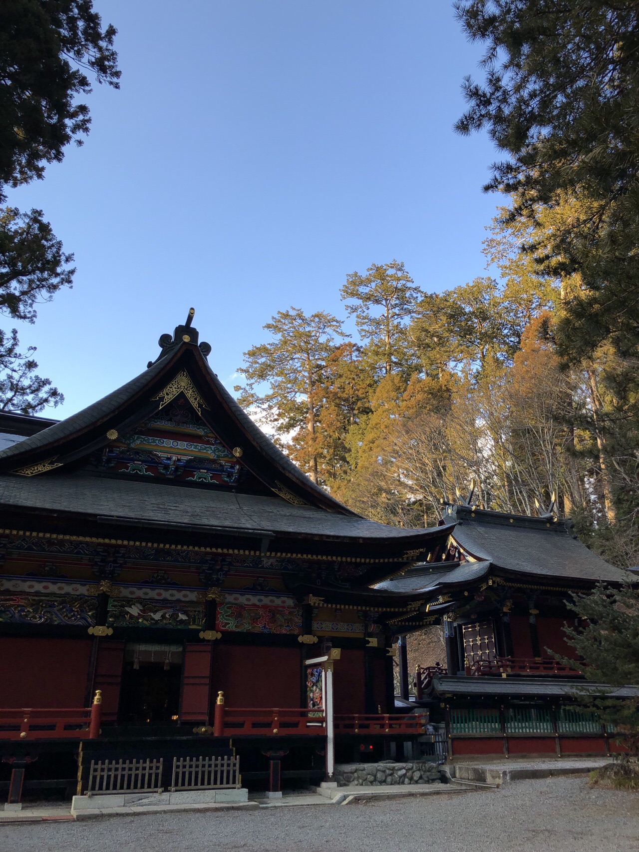 ｈ31 １月 ２月中旬の活動諸々 桔梗巡礼パパさんの立木山 袴腰山の活動日記 Yamap ヤマップ