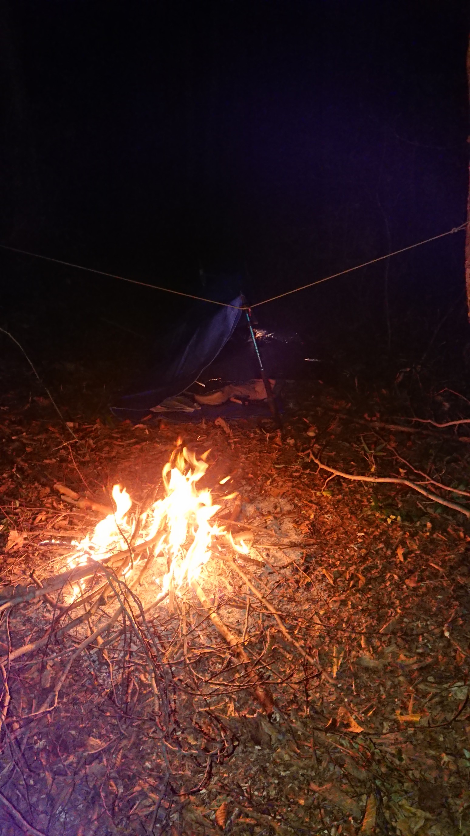 木六山・銀次郎山 こんな感じで寝ています