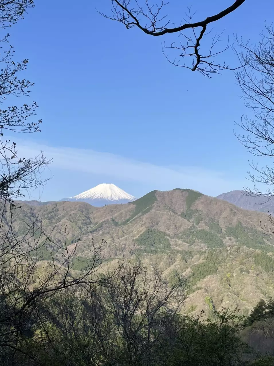 210421 道志の湯から甲相国境尾根を歩く(加入道山、畦ヶ丸、大界木山まで)