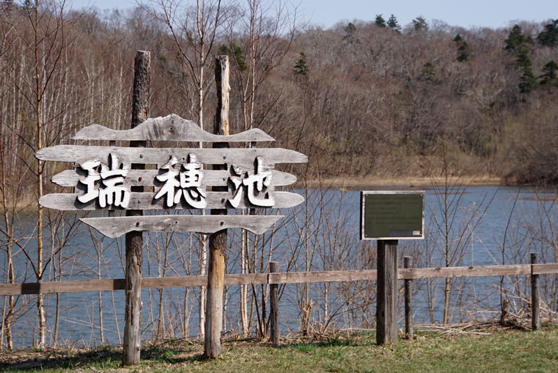 野幌森林公園を散策してみた Pochiさんの野幌森林公園の活動日記 Yamap ヤマップ