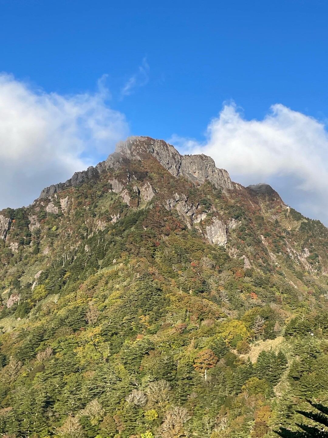 aya-yamap