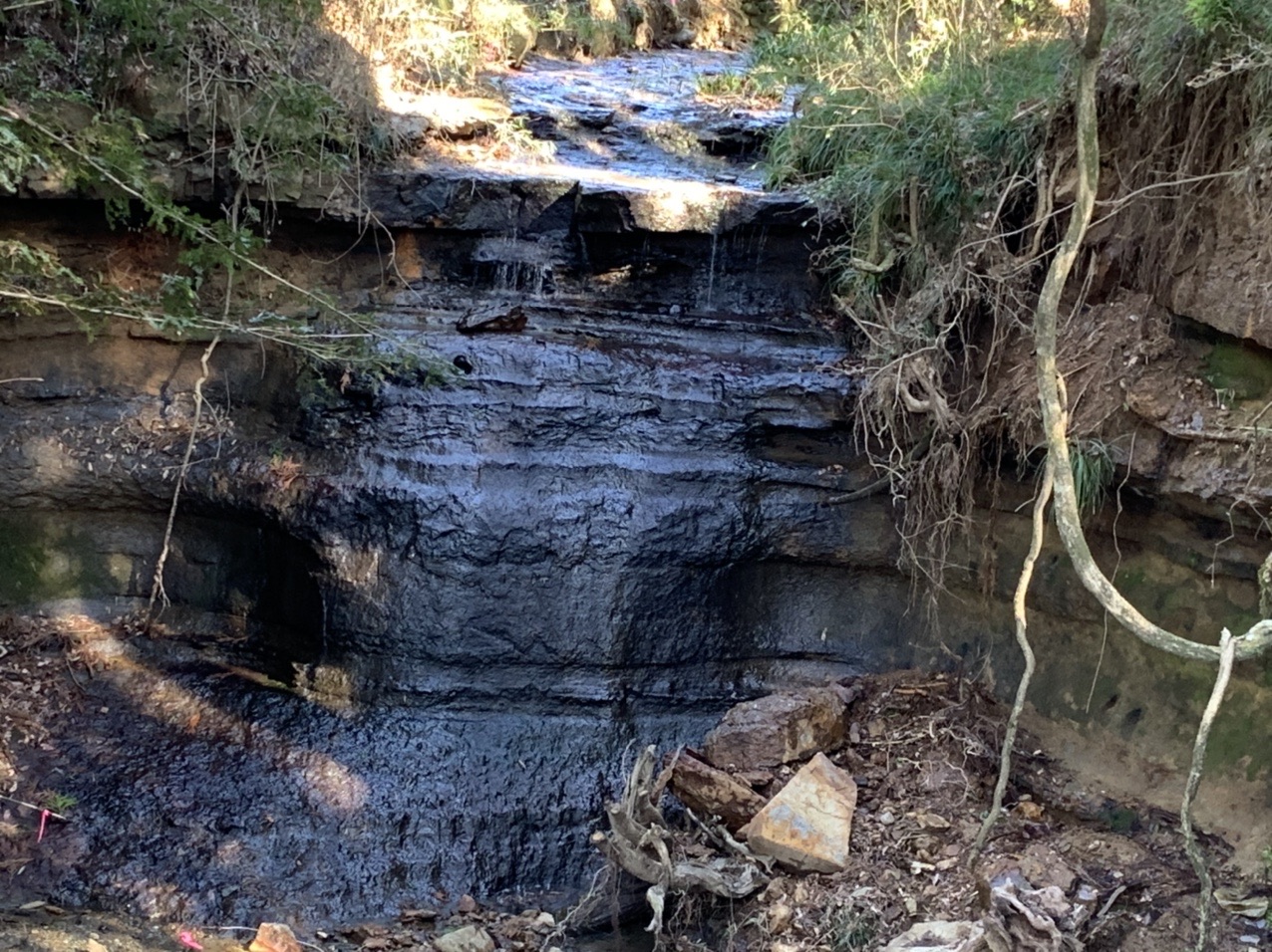 国見山 黒磯岳 黒磯バッケ とうさんぽさんの日立アルプストレイル 神峯山の活動日記 Yamap ヤマップ
