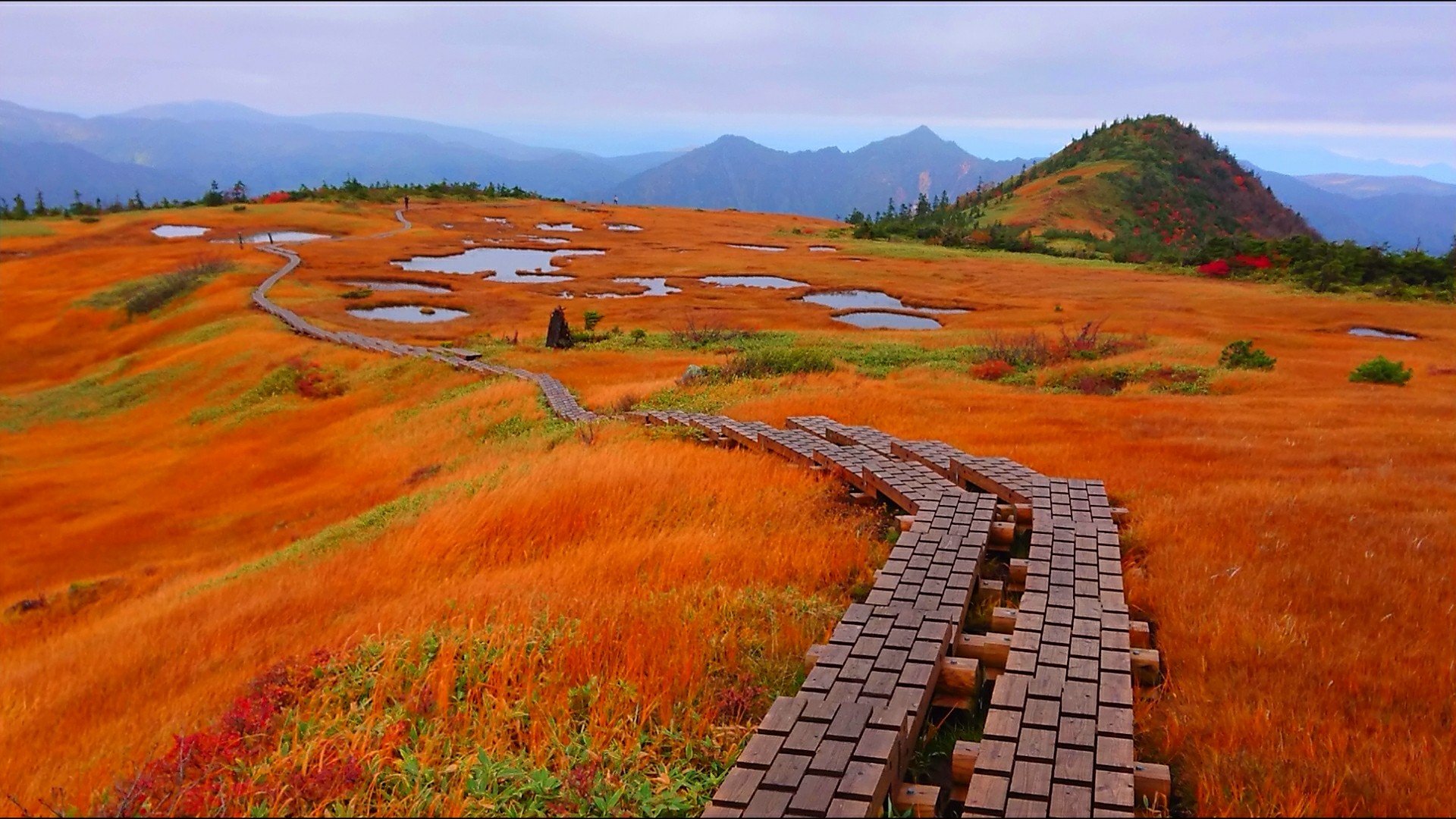 苗場山 龍ノ峰 Kenjiさんの苗場山 赤倉山 佐武流山の活動データ Yamap ヤマップ