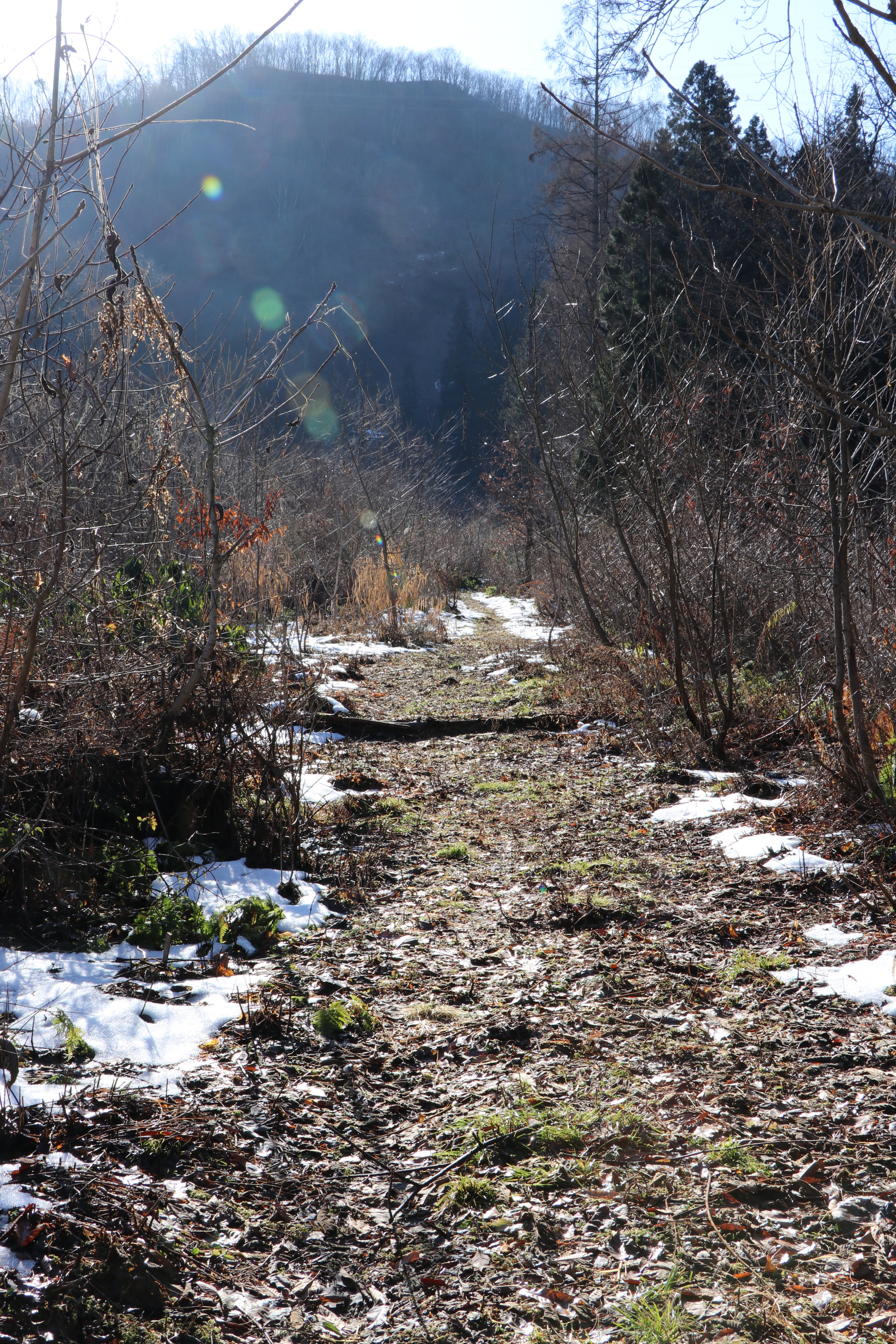 山形県米沢市万世町 早坂山 Stromboliさんの米沢市の活動データ Yamap ヤマップ