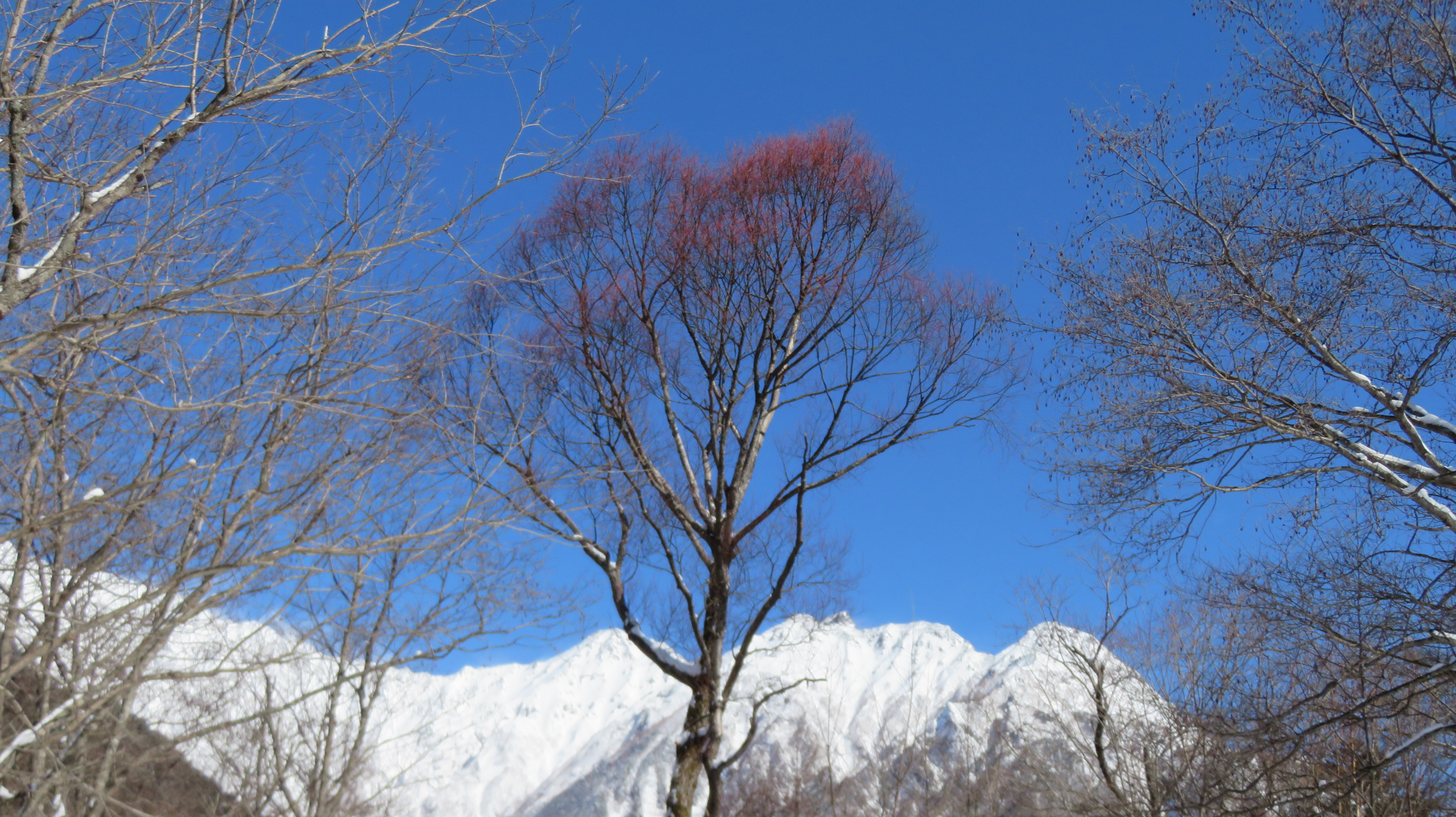 冬の神降地は楽猿でした 上高地 02 11 Manoさんの槍ヶ岳 穂高岳 上高地の活動日記 Yamap ヤマップ
