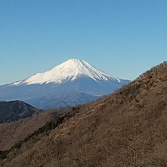 ほんだ