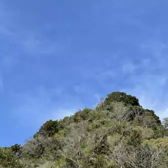見上げる伊予ヶ岳山頂。