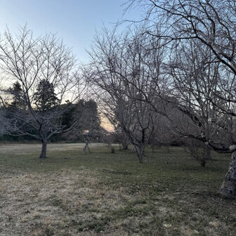 船塚山 鹿１匹逃げて行った