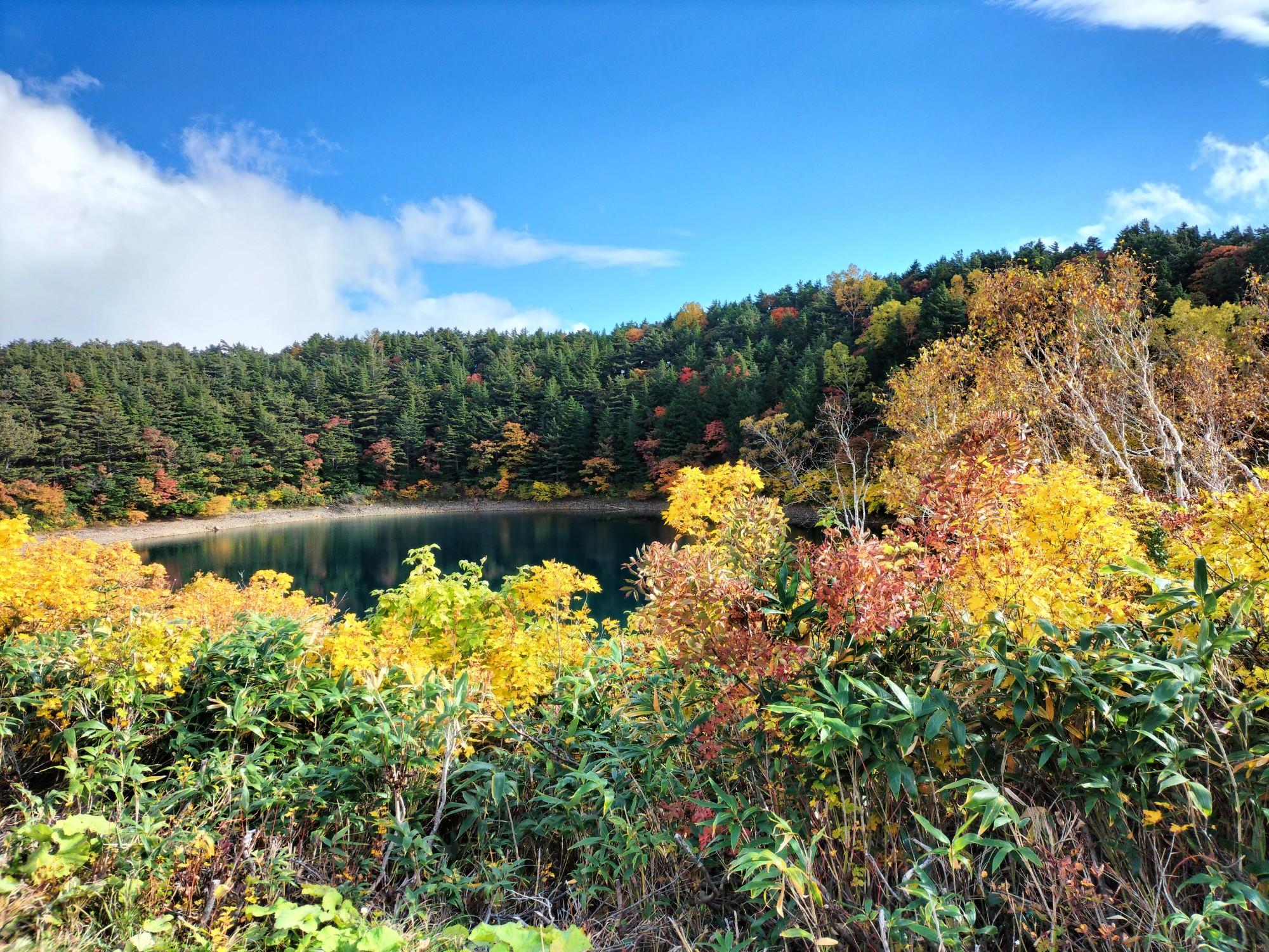 安達太良山・箕輪山・鬼面山20241015 / プレオ+土気さんの安達太良山・箕輪山・鬼面山の活動日記 YAMAP / ヤマップ