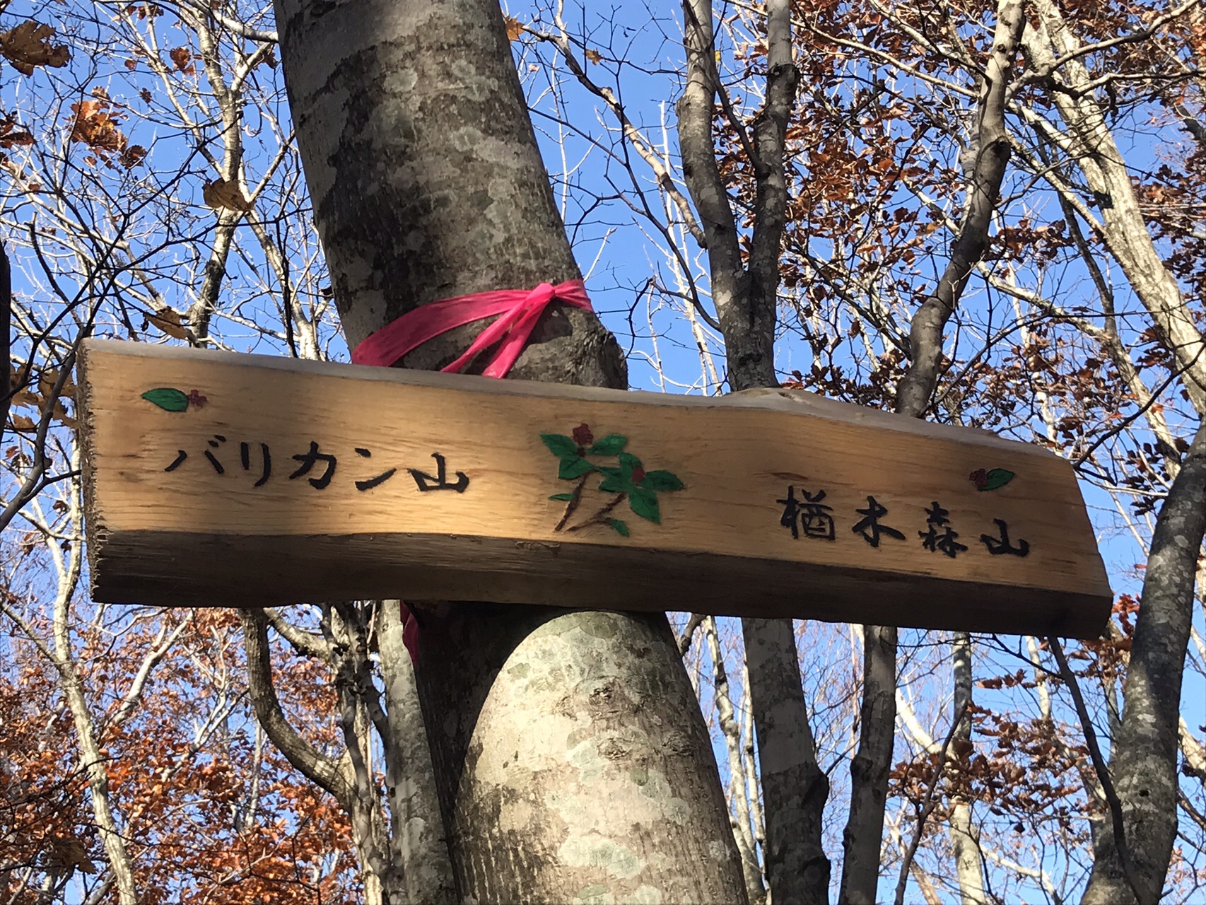 バリカン山〜楢木森山 / michikoさんの青森市の活動データ  YAMAP 