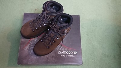 アウトドア 登山用品 New登山靴購入】 LOWA ２ ローバー タホープロ 2 登山靴と山岳テント 