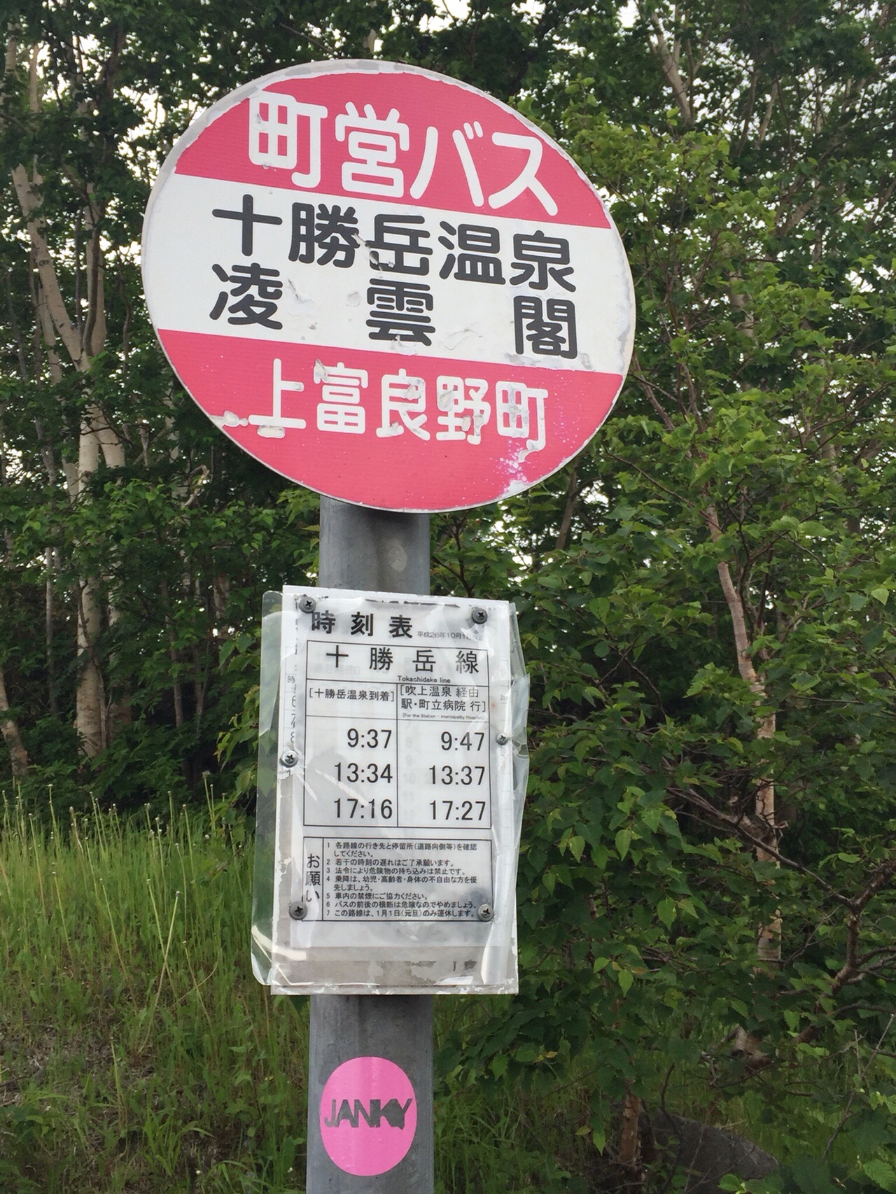 上富良野岳 上ホロメットク 大砲岩 十勝岳チラ見 19 07 07 Akkunn Ikeさんの十勝岳 富良野岳 美瑛岳の活動データ Yamap ヤマップ