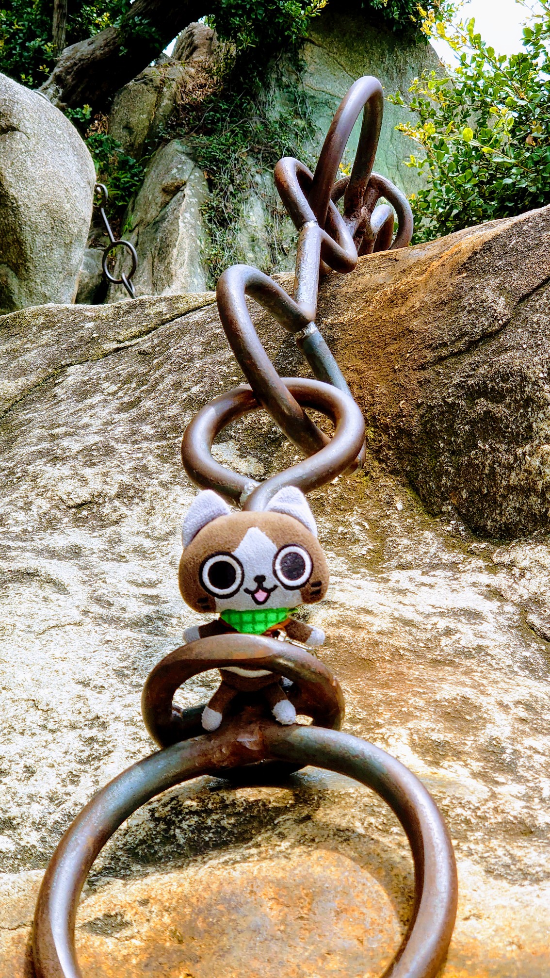 出張登山 なんちゃって石鎚山 ニャンタークエスト 破裂の銀行さんの尾道市の活動データ Yamap ヤマップ