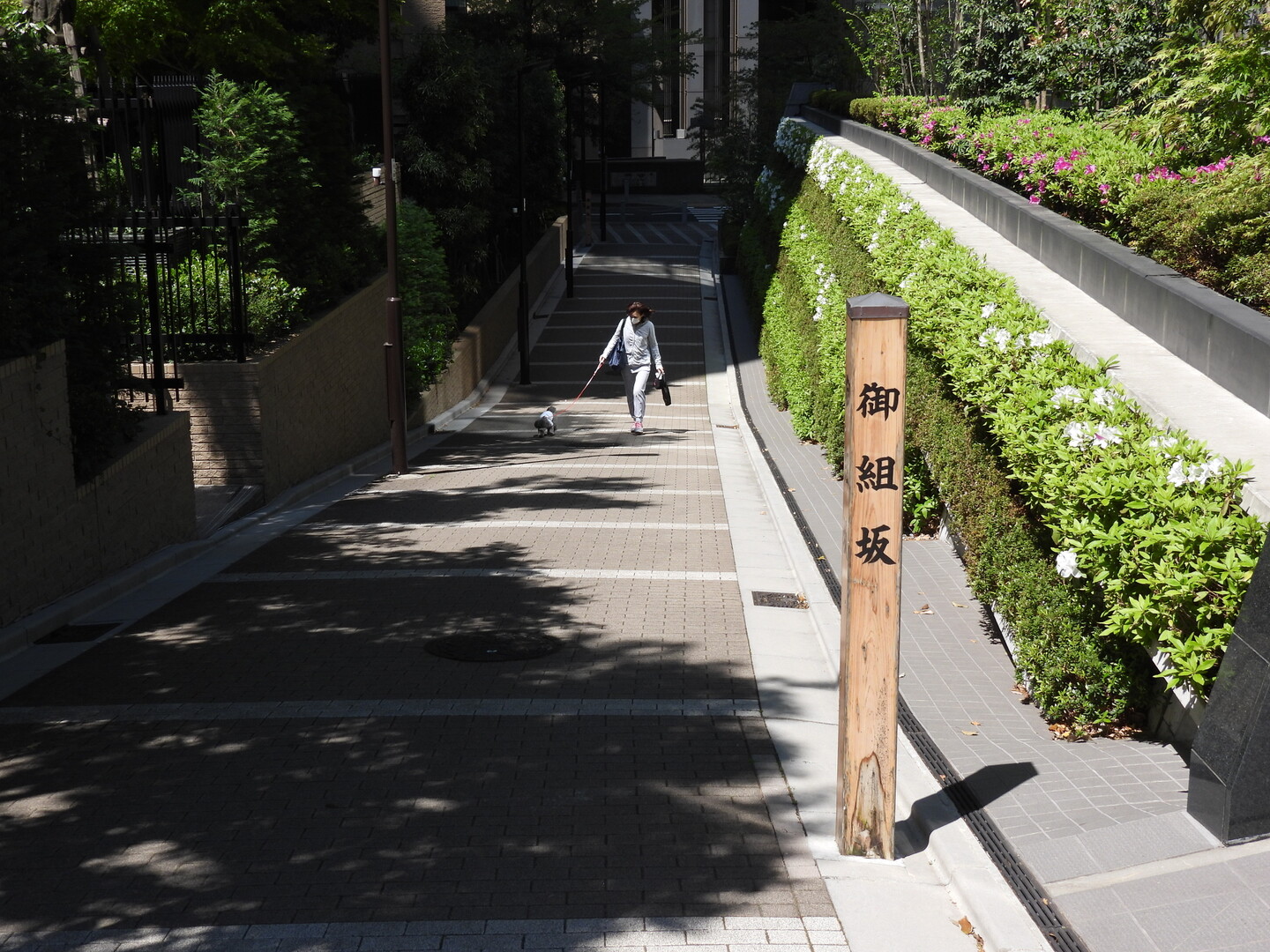 麻布 坂めぐり Maddogさんの東京都23区 南エリアの活動データ Yamap ヤマップ