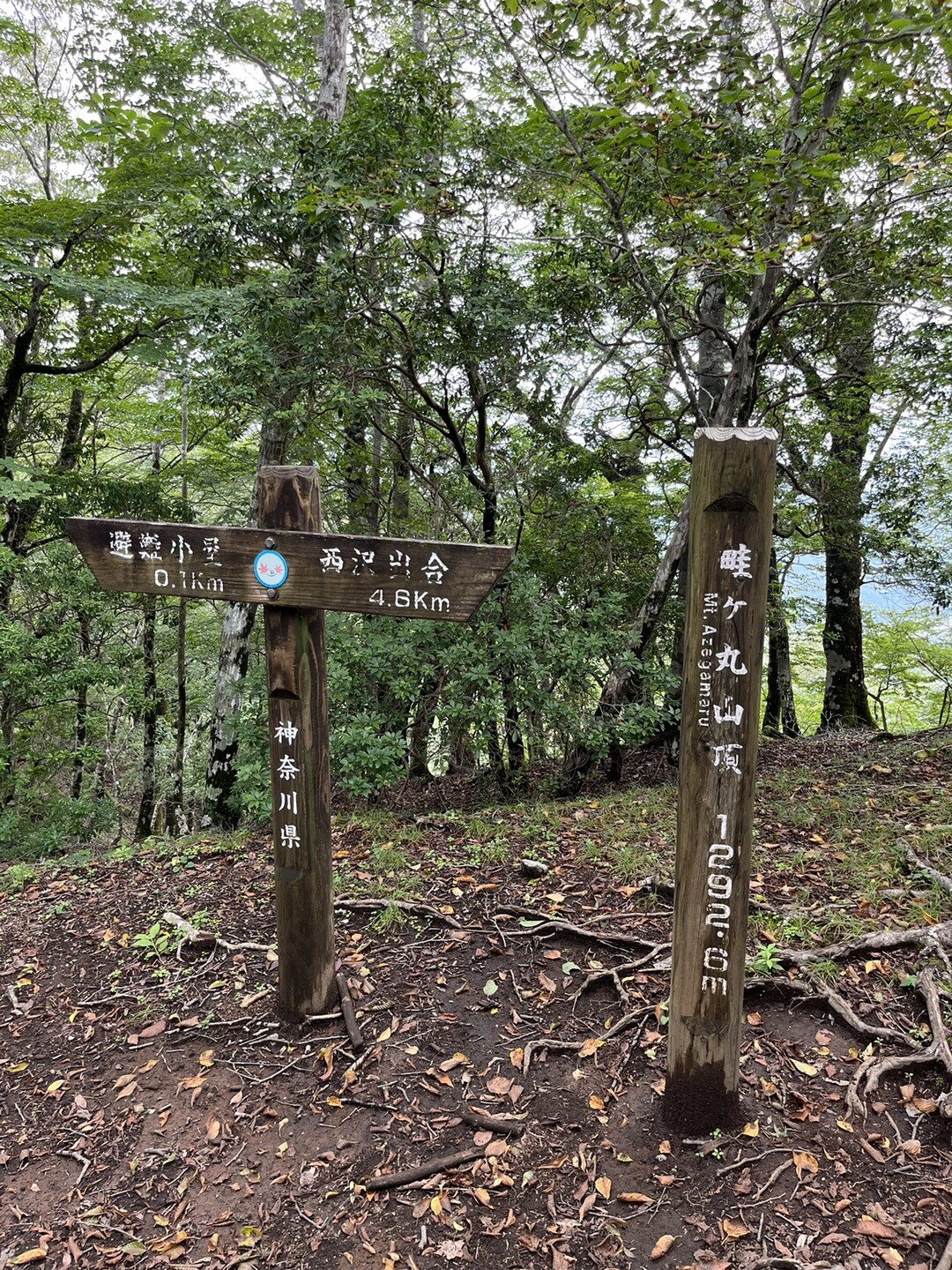 畦ヶ丸山・モロクボ沢ノ頭・バン木ノ頭・シャガクチ丸・ナメクラ沢ノ頭・水晶沢ノ頭 / daruさんの大室山・畦ヶ丸山・菰釣山の活動データ