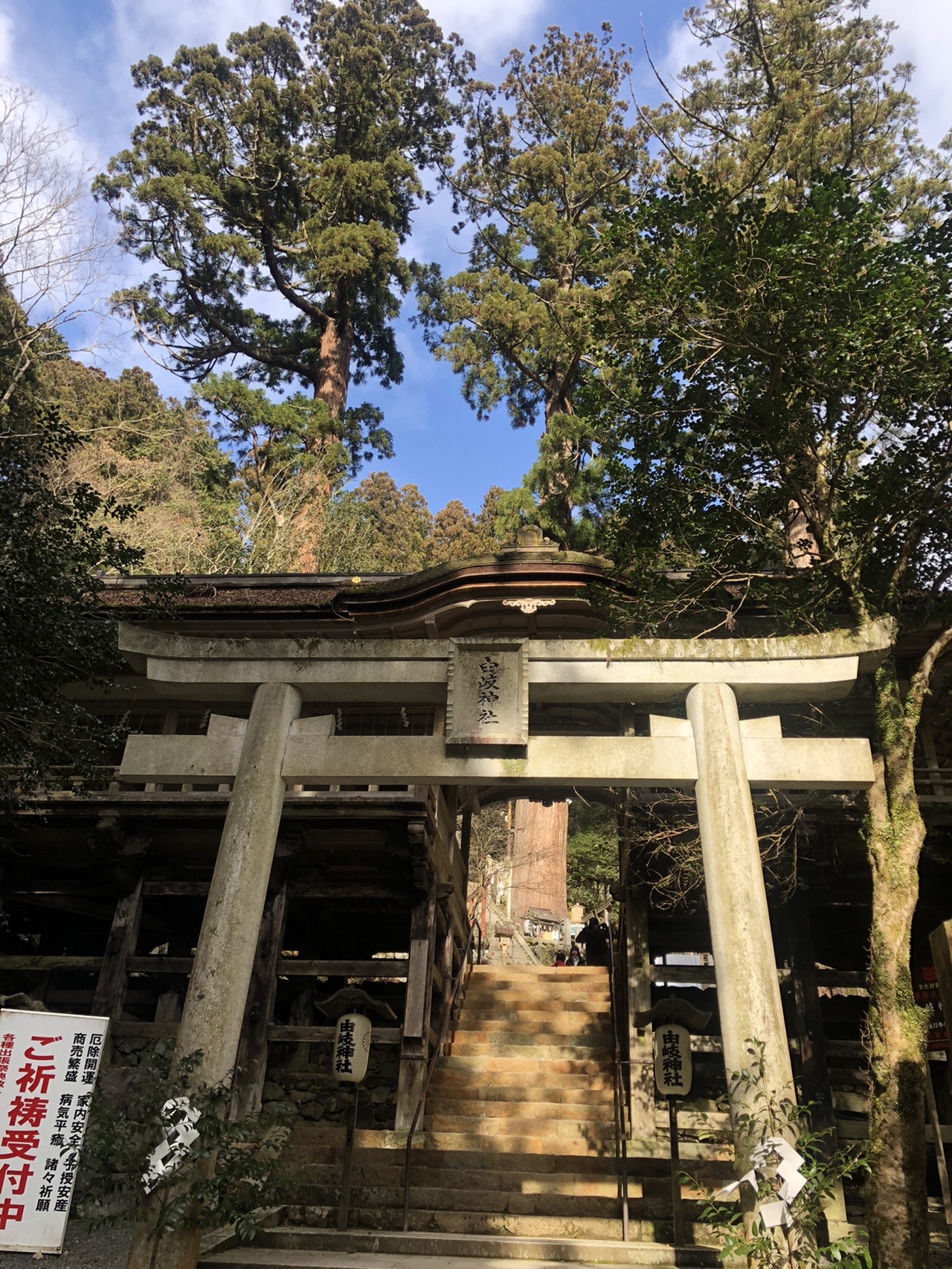 鞍馬寺から貴船神社へゆったりお散歩ハイキング 1 18 はーちゃんさんの貴船山 鞍馬山の活動日記 Yamap ヤマップ