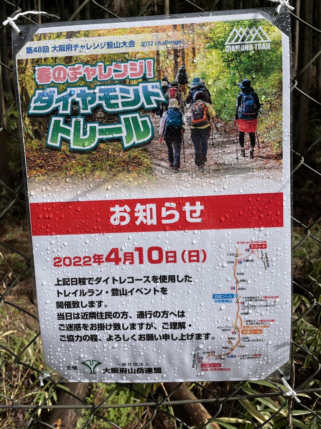 大嫌いな木段トレーニングにダイトレのつまみ食い 茶坊主さんの金剛山 二上山 大和葛城山の活動データ Yamap ヤマップ
