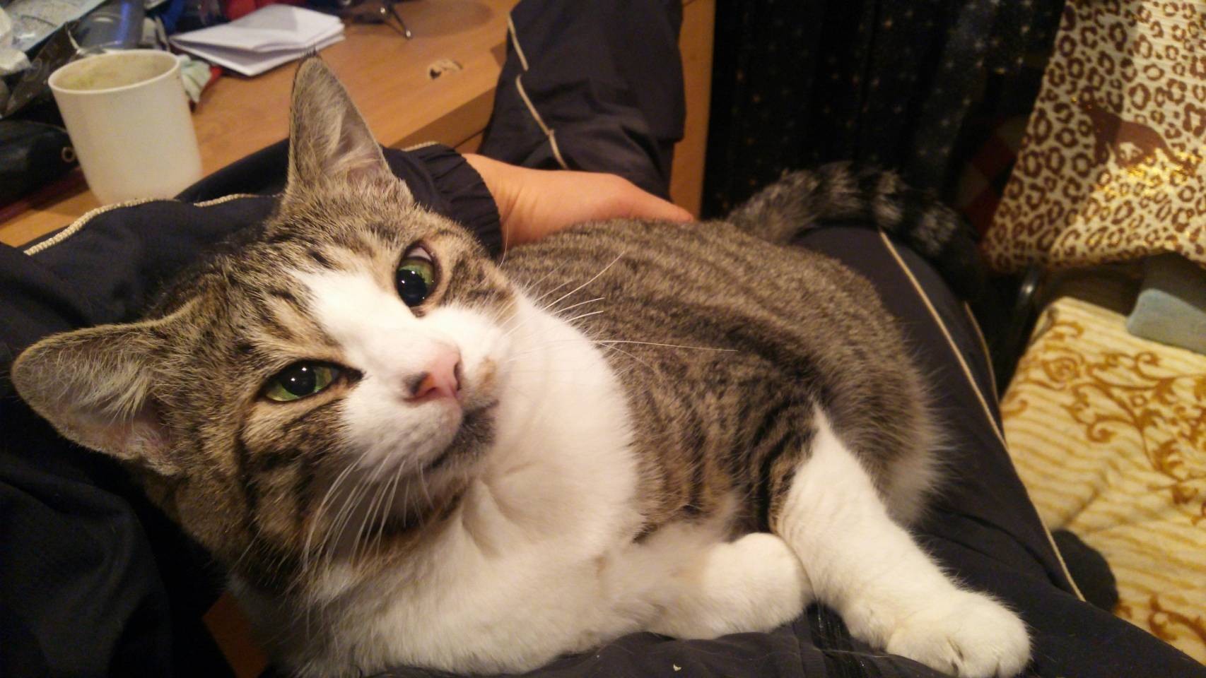 エリ ありがとう これからもずっと S Myak エリゴンズさんの松戸市の活動データ Yamap ヤマップ