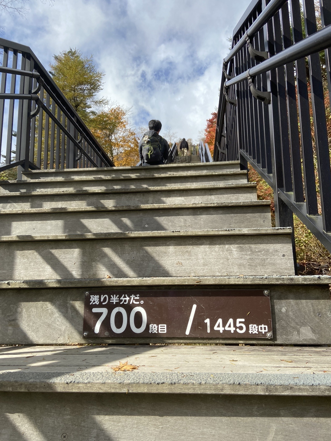 日光 霧降高原 小丸山 丸山 大山 ぱたにゃんさんの女峰山 赤薙山 大真名子山の活動データ Yamap ヤマップ