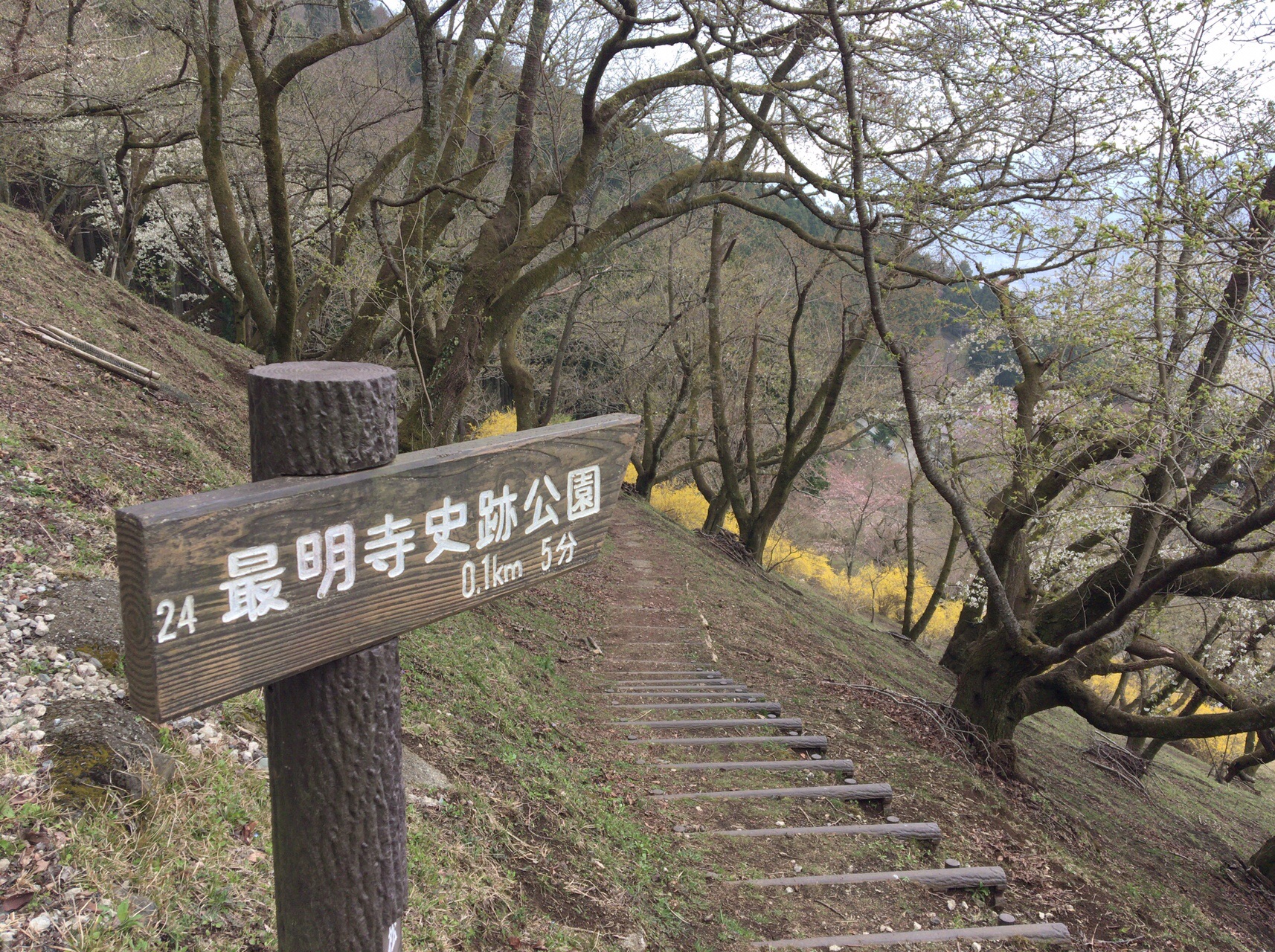 最明寺史跡公園ハイキングコース エル丸さんの高松山 大野山の活動データ Yamap ヤマップ