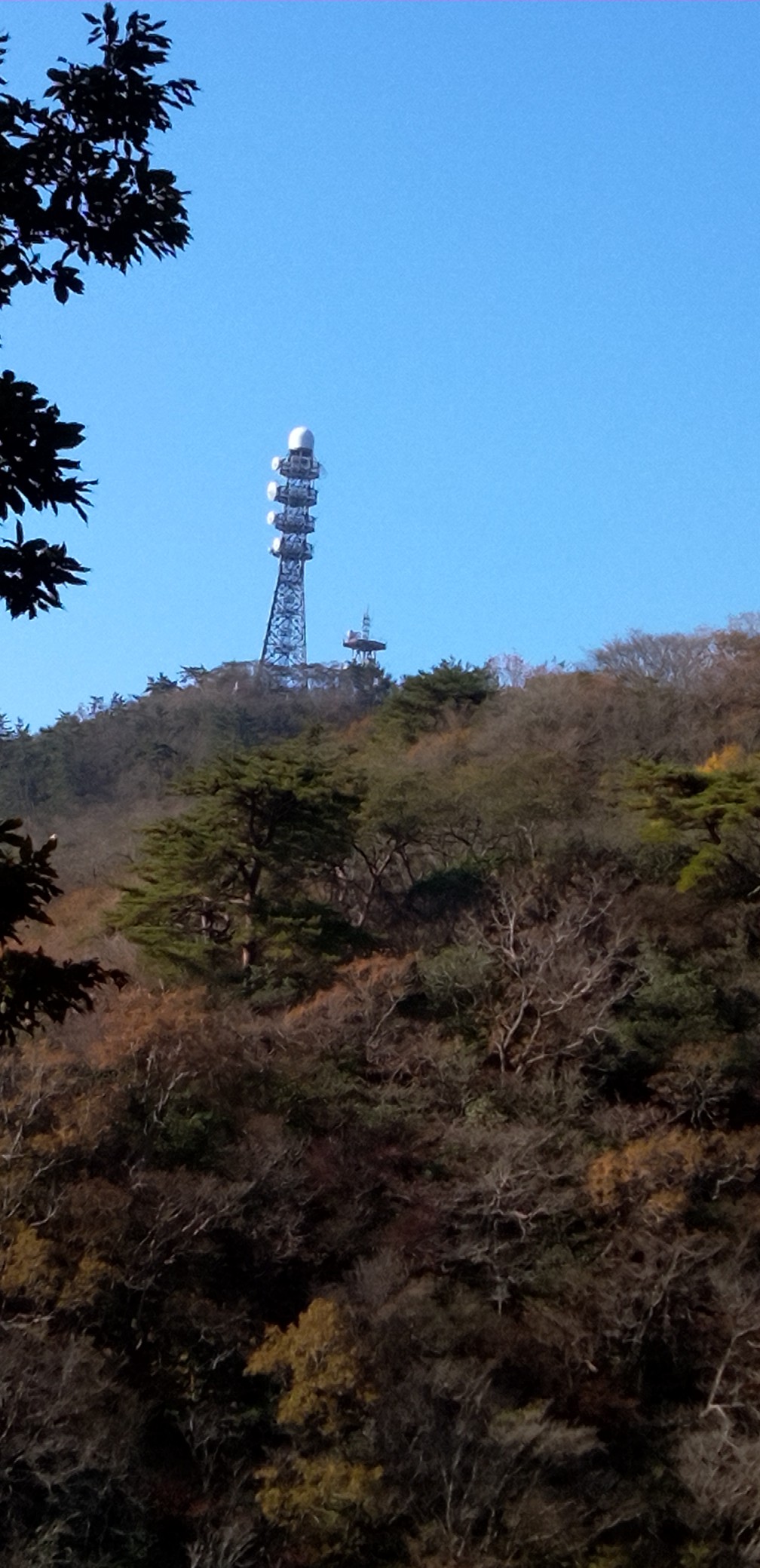 六甲山 後鉢巻山 水無山 大平山 譲葉山西峰 譲葉山南峰 譲葉山 岩倉山 山が るさんの六甲山 長峰山 摩耶山の活動データ Yamap ヤマップ
