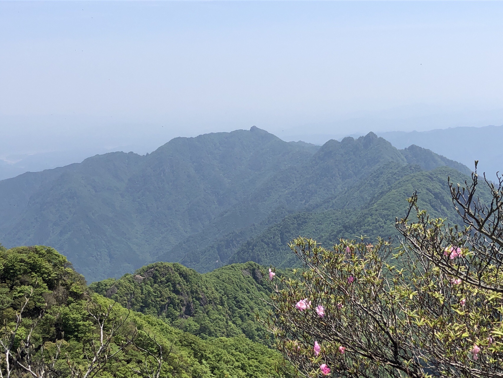 祖母山 神原登山口から しぶ山さんの祖母山の活動データ Yamap ヤマップ