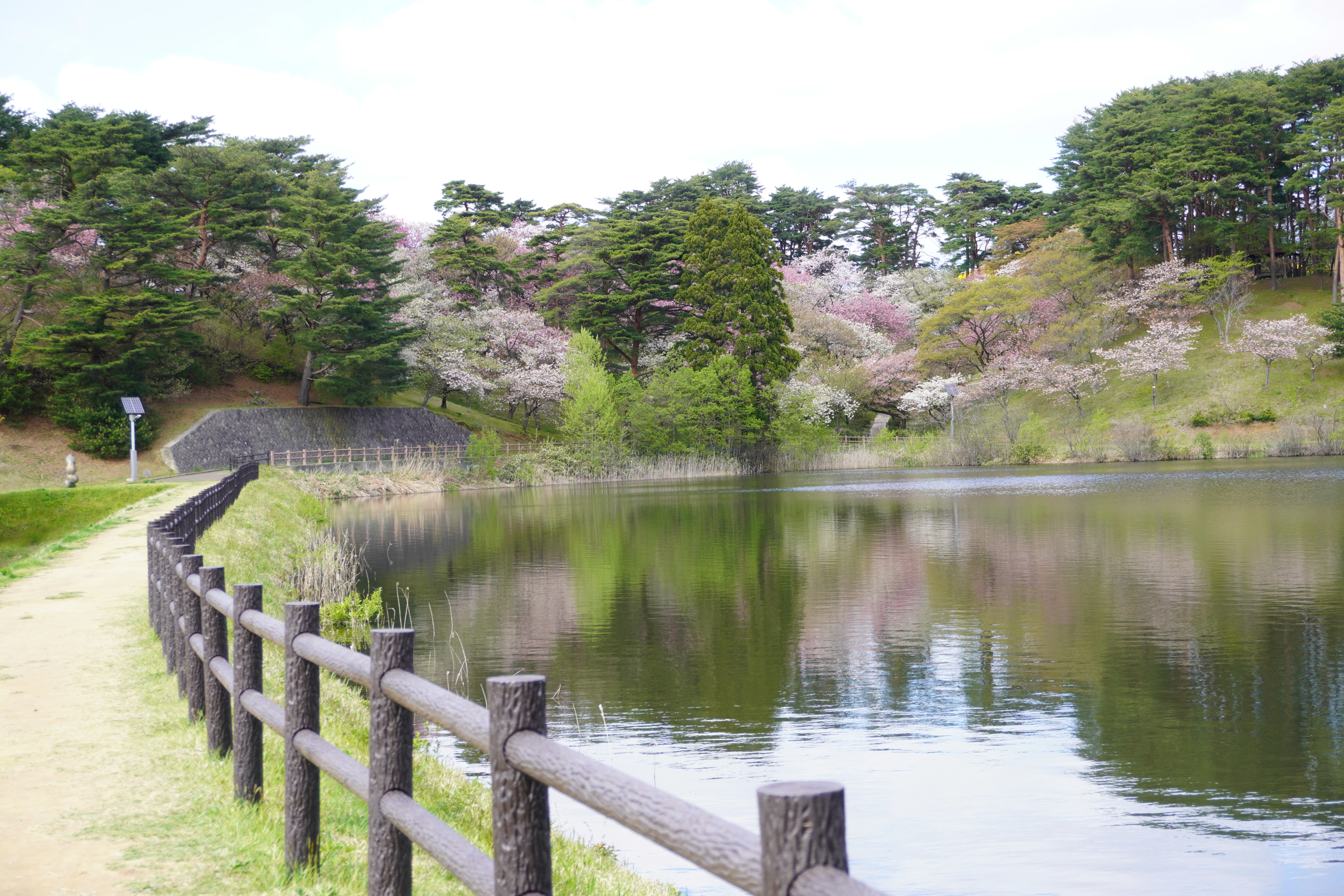 国花苑 秋田県 公園散歩 Shunさんの森山 秋田県 の活動データ Yamap ヤマップ