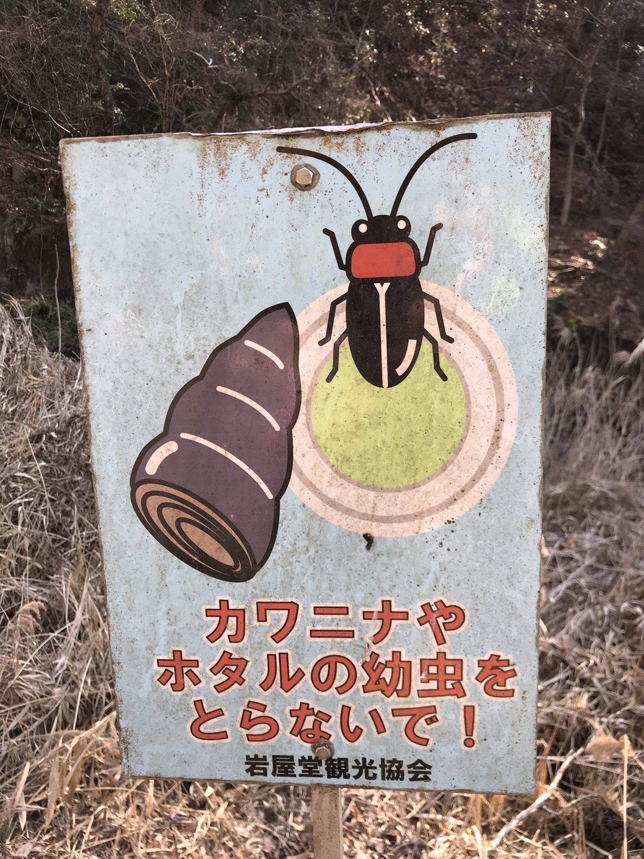 岩巣山 東海自然歩道を巡る旅 けもの道さんの岩巣山 三国山 岐阜県 愛知県 の活動日記 Yamap ヤマップ