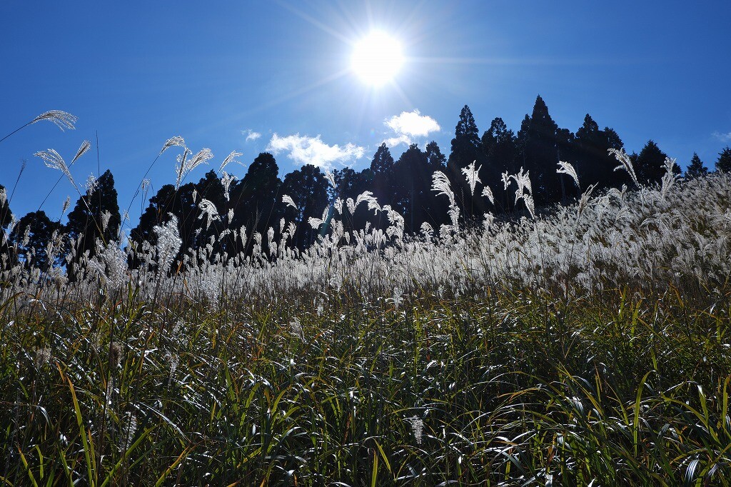砥峰高原へツーリング 野うさぎ銀次郎さんの砥峰高原 峰山高原の活動データ Yamap ヤマップ