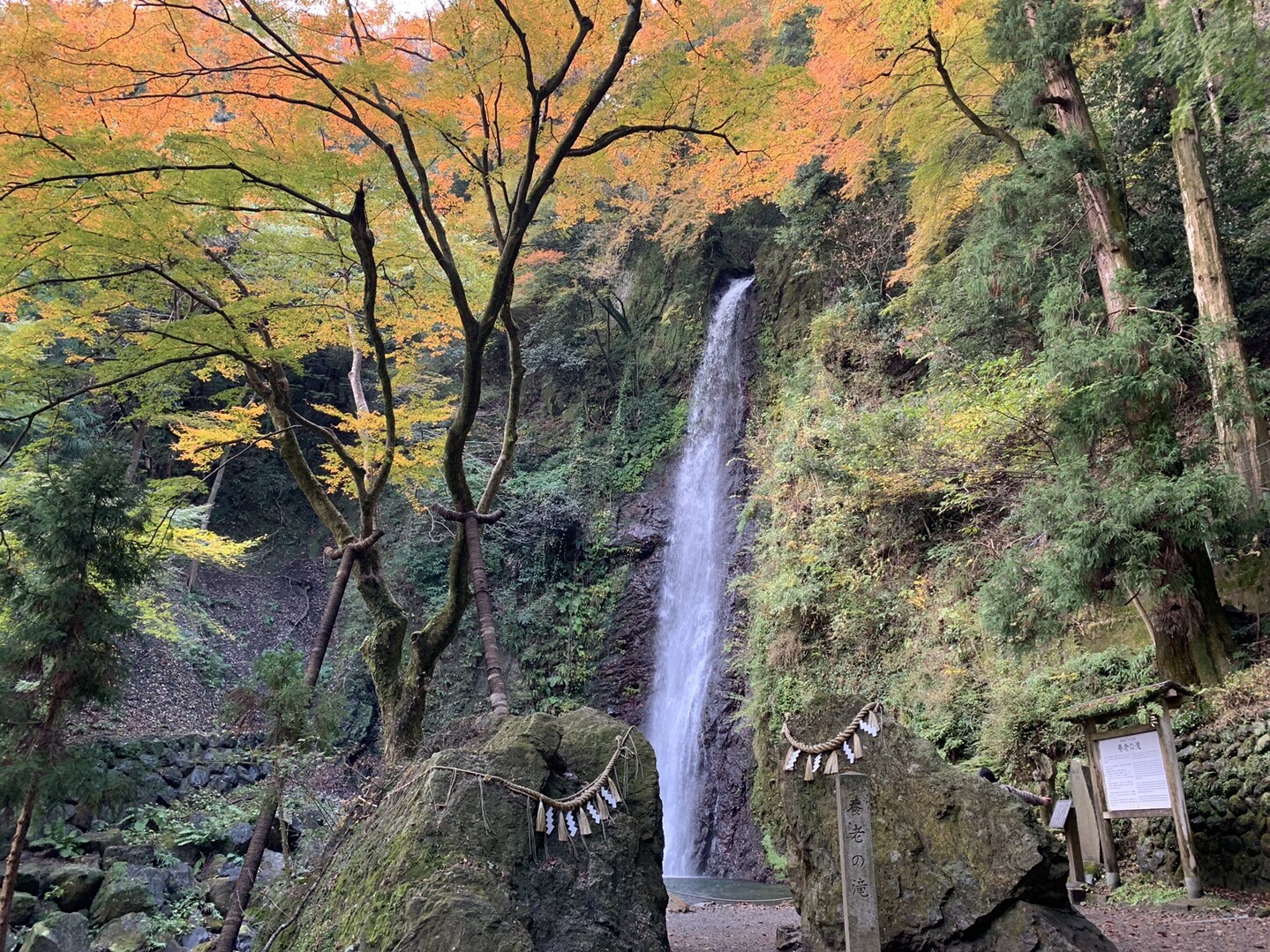 養老山(岐阜県)・三方山・小倉山20191124 / takaさんの養老山・笙ヶ岳・三方山の活動データ YAMAP / ヤマップ