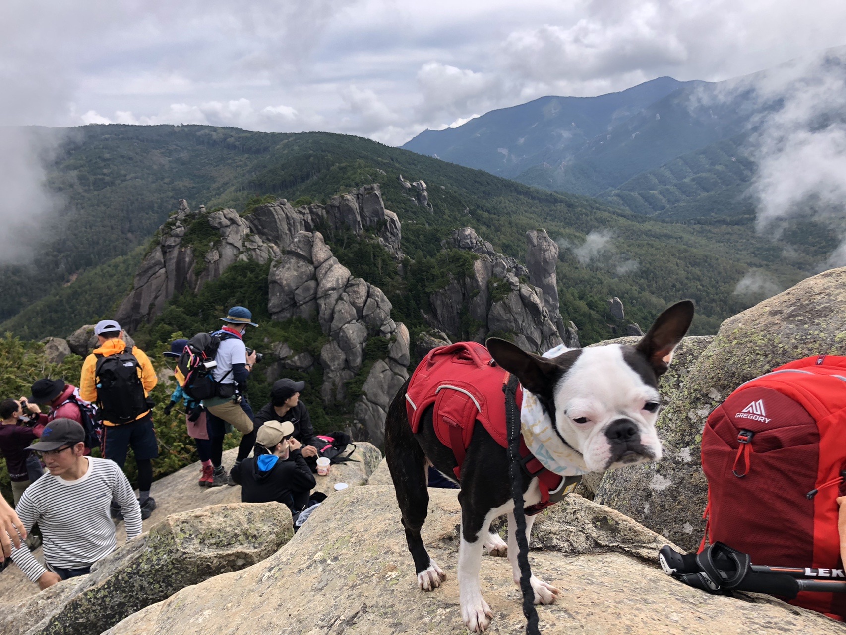 瑞牆山 犬連れ登山 Tamachikinさんの瑞牆山 金峰山の活動データ Yamap ヤマップ
