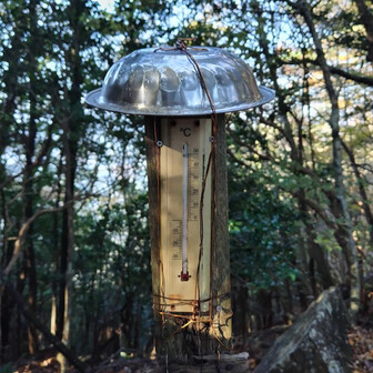 分岐にある温度計。10℃位